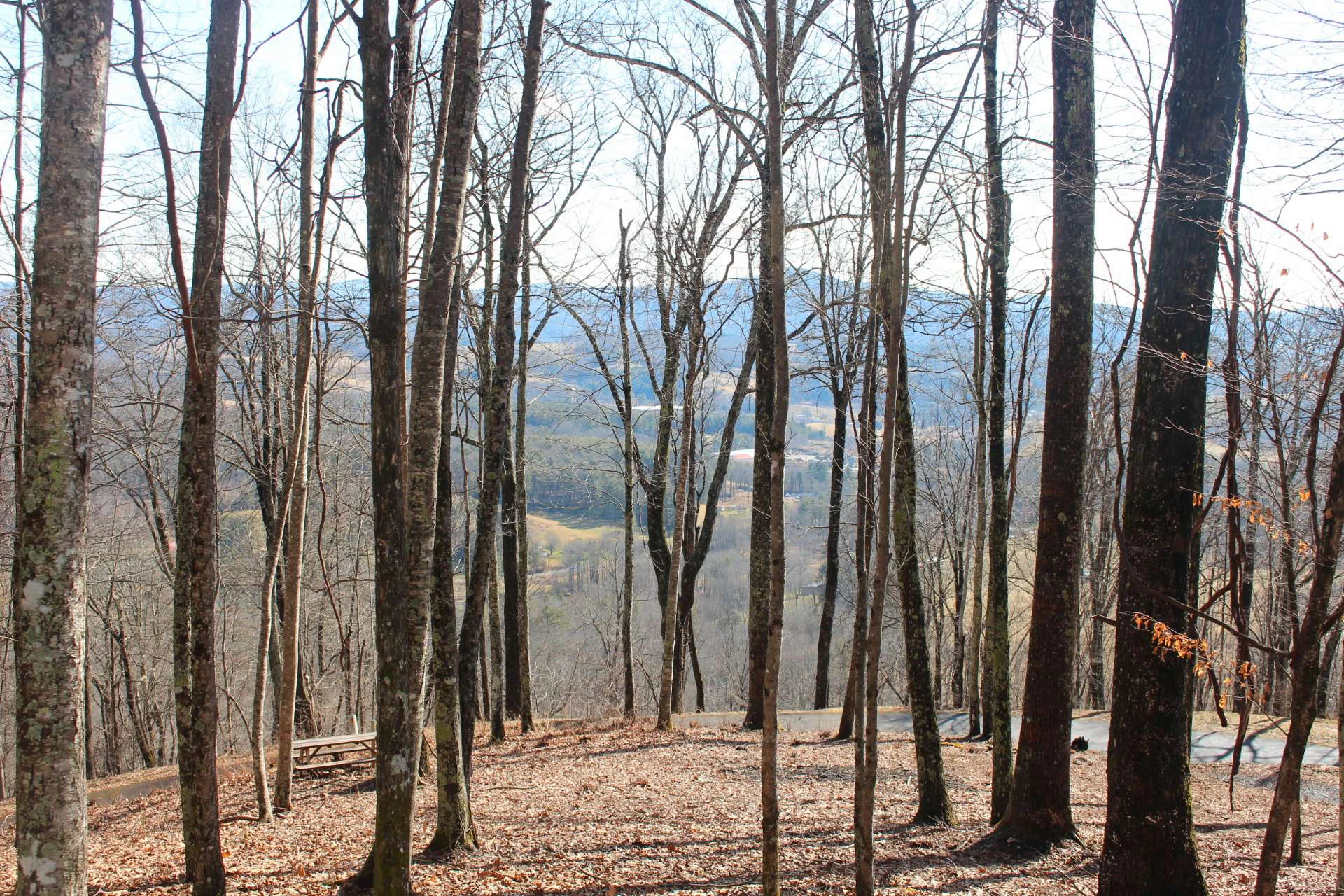 Image number 5 for the current listing