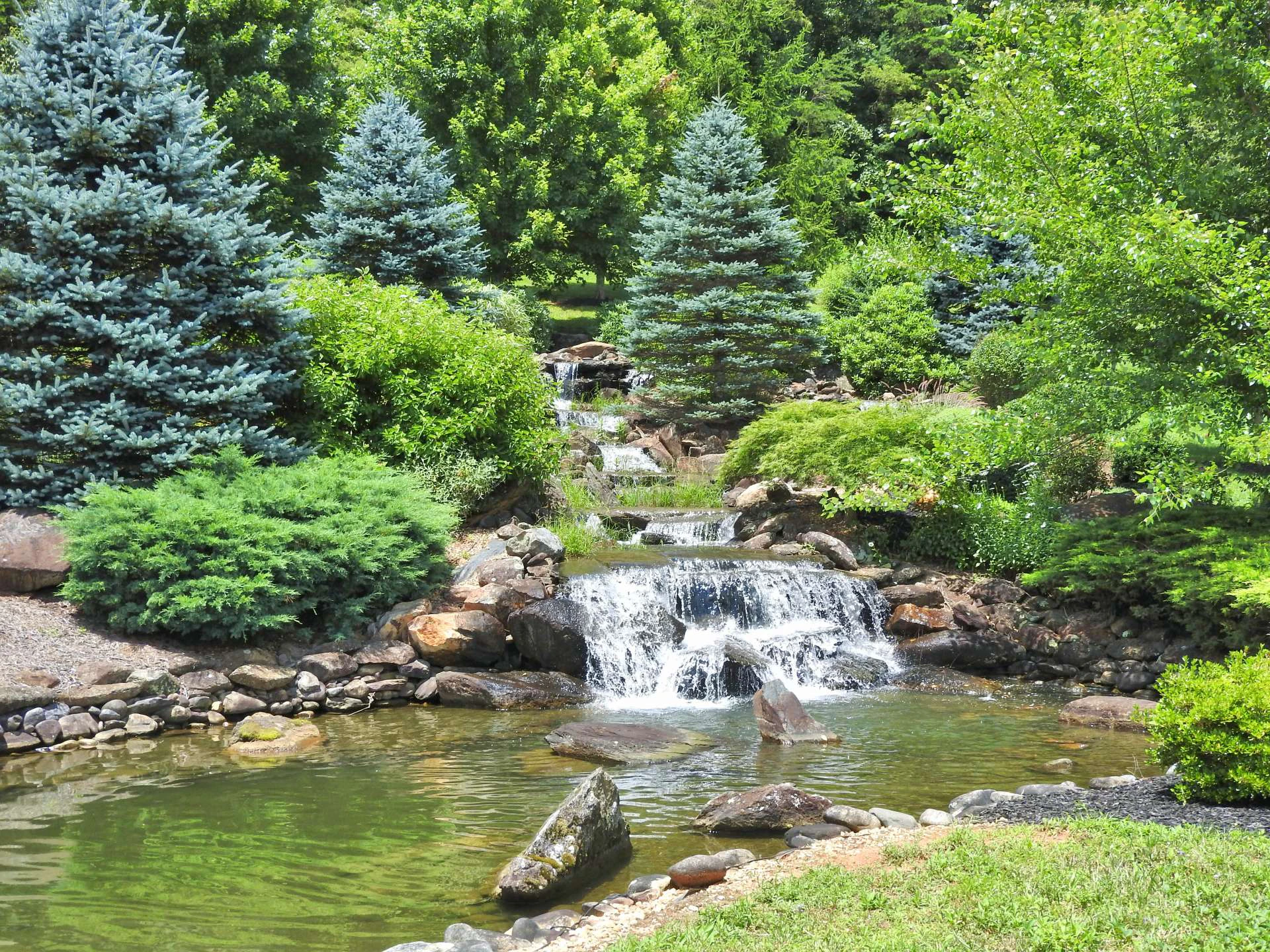Image number 2 for the current listing