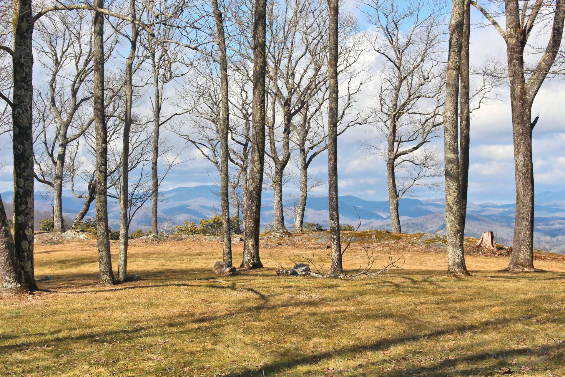 Image number 9 for the current listing
