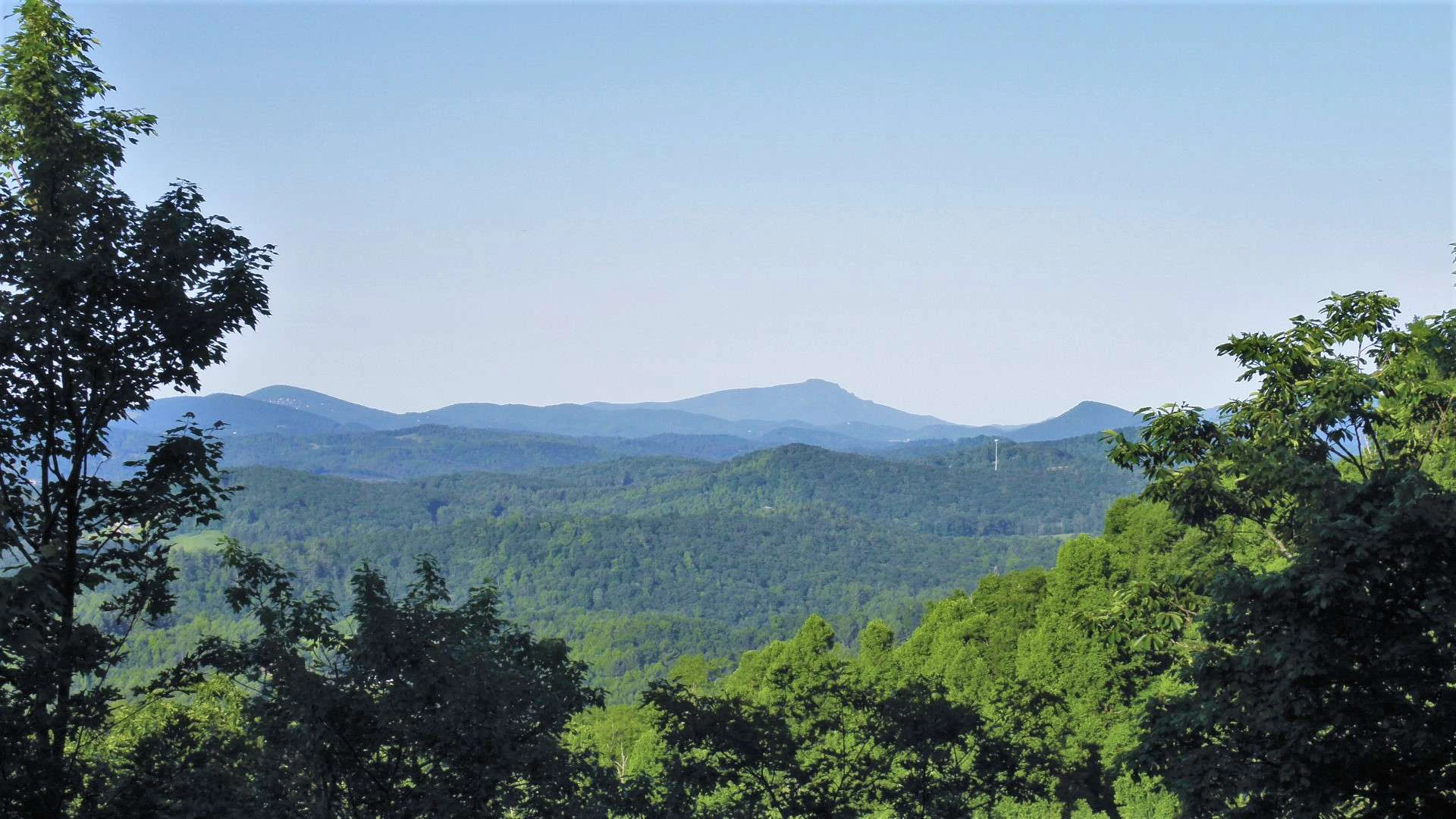 Image number 7 for the current listing