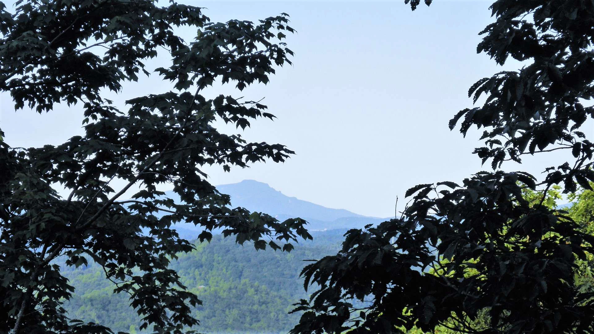 Image number 2 for the current listing