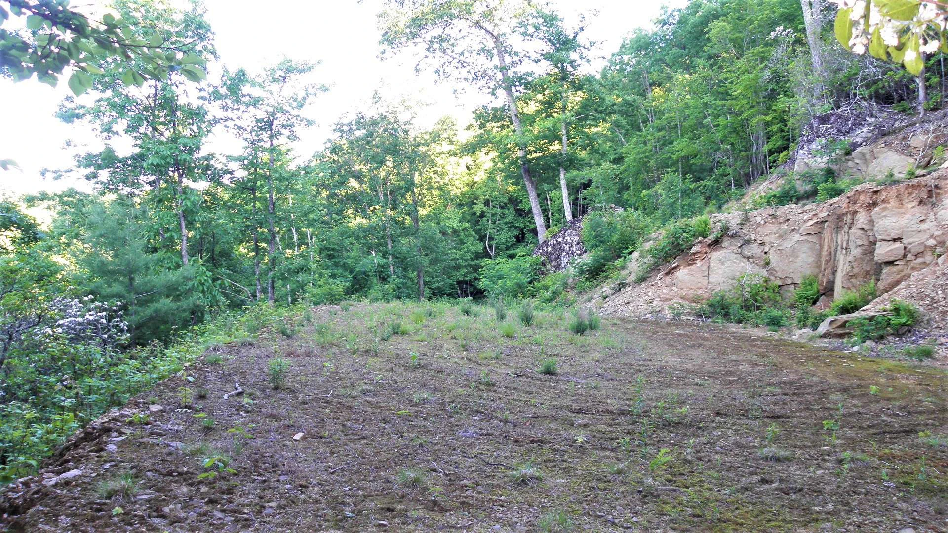 Image number 5 for the current listing