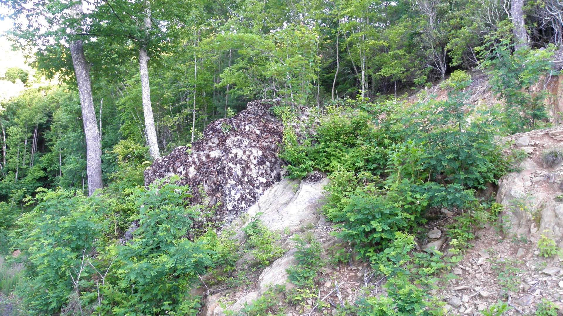 Image number 3 for the current listing