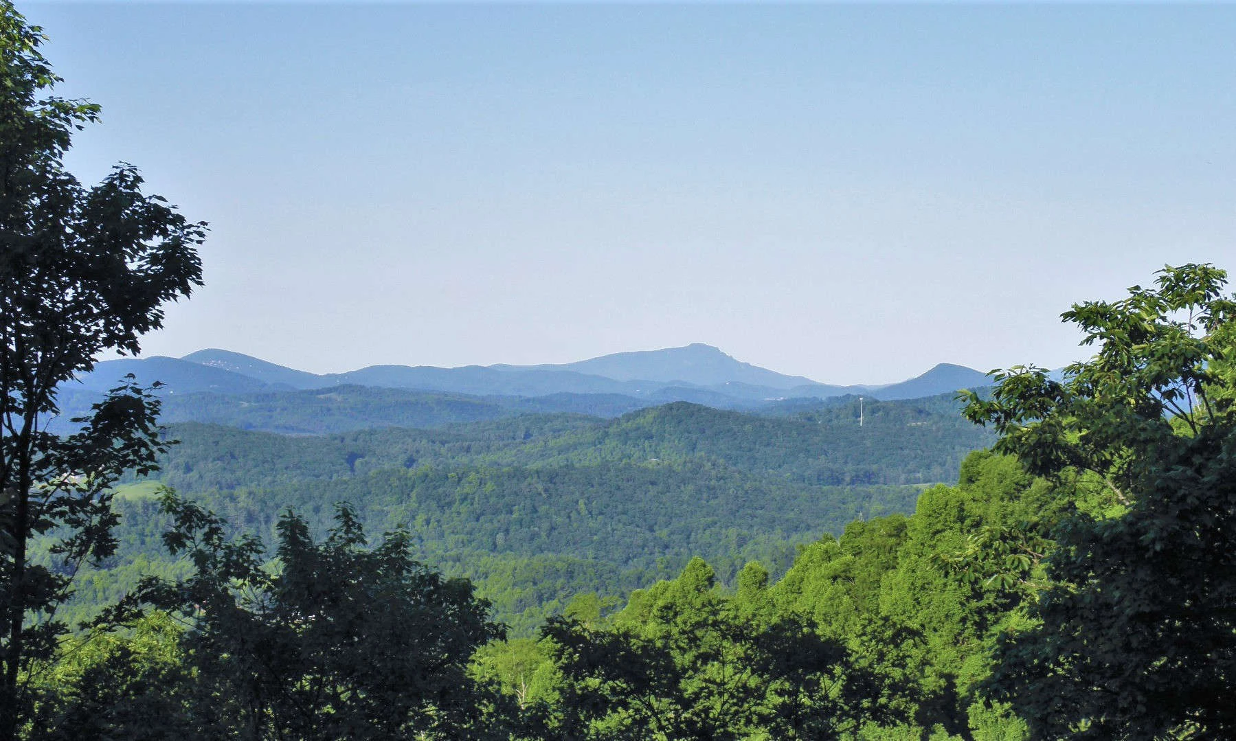 Image number 1 for the current listing