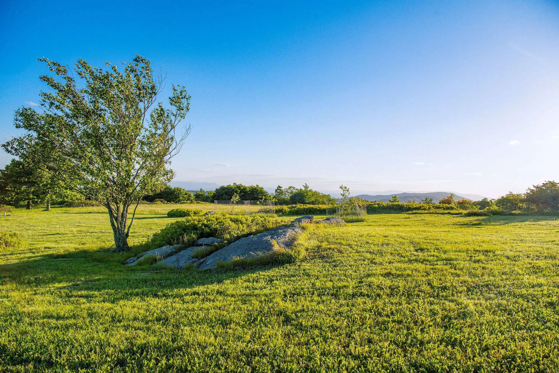Image number 5 for the current listing