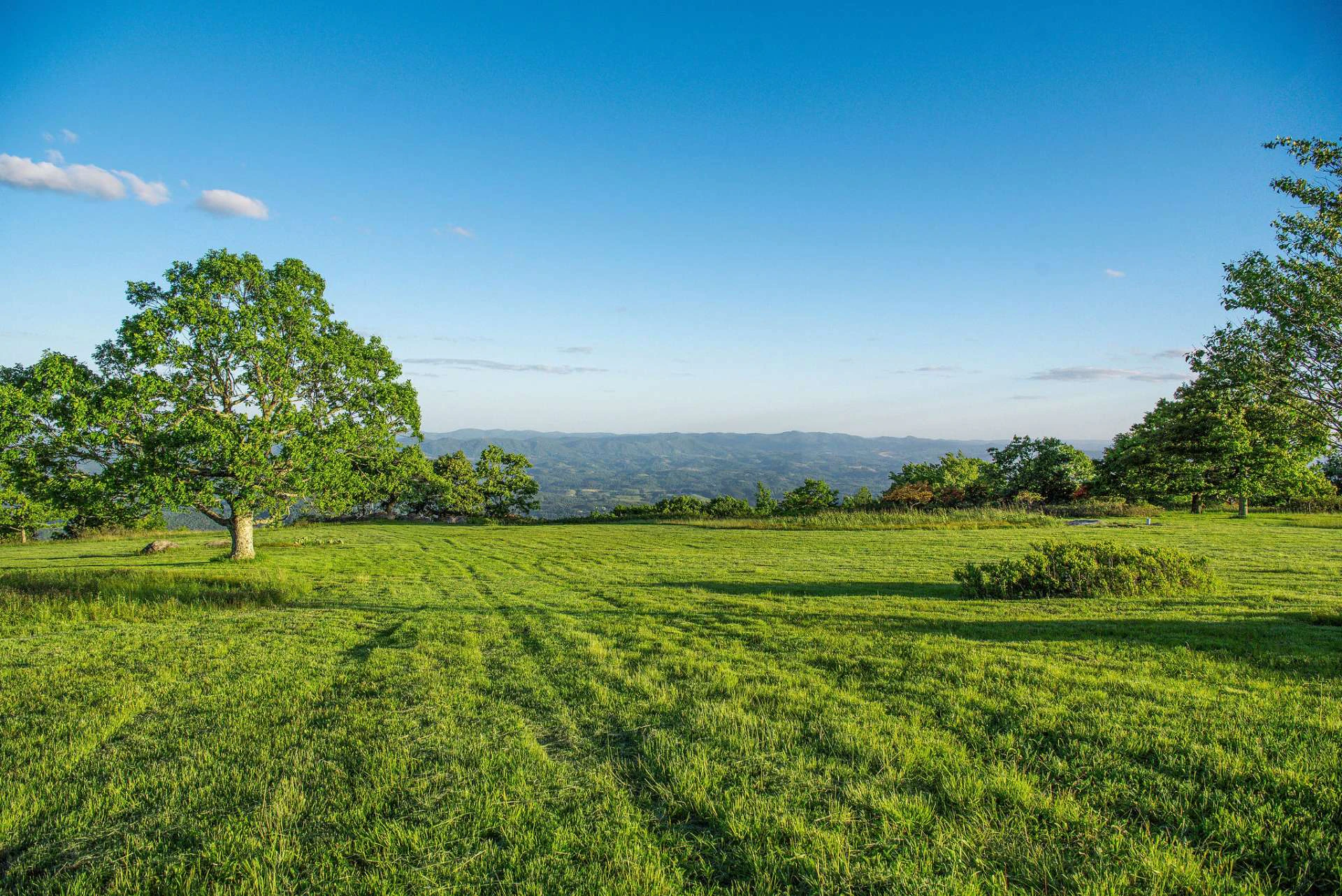 Image number 6 for the current listing