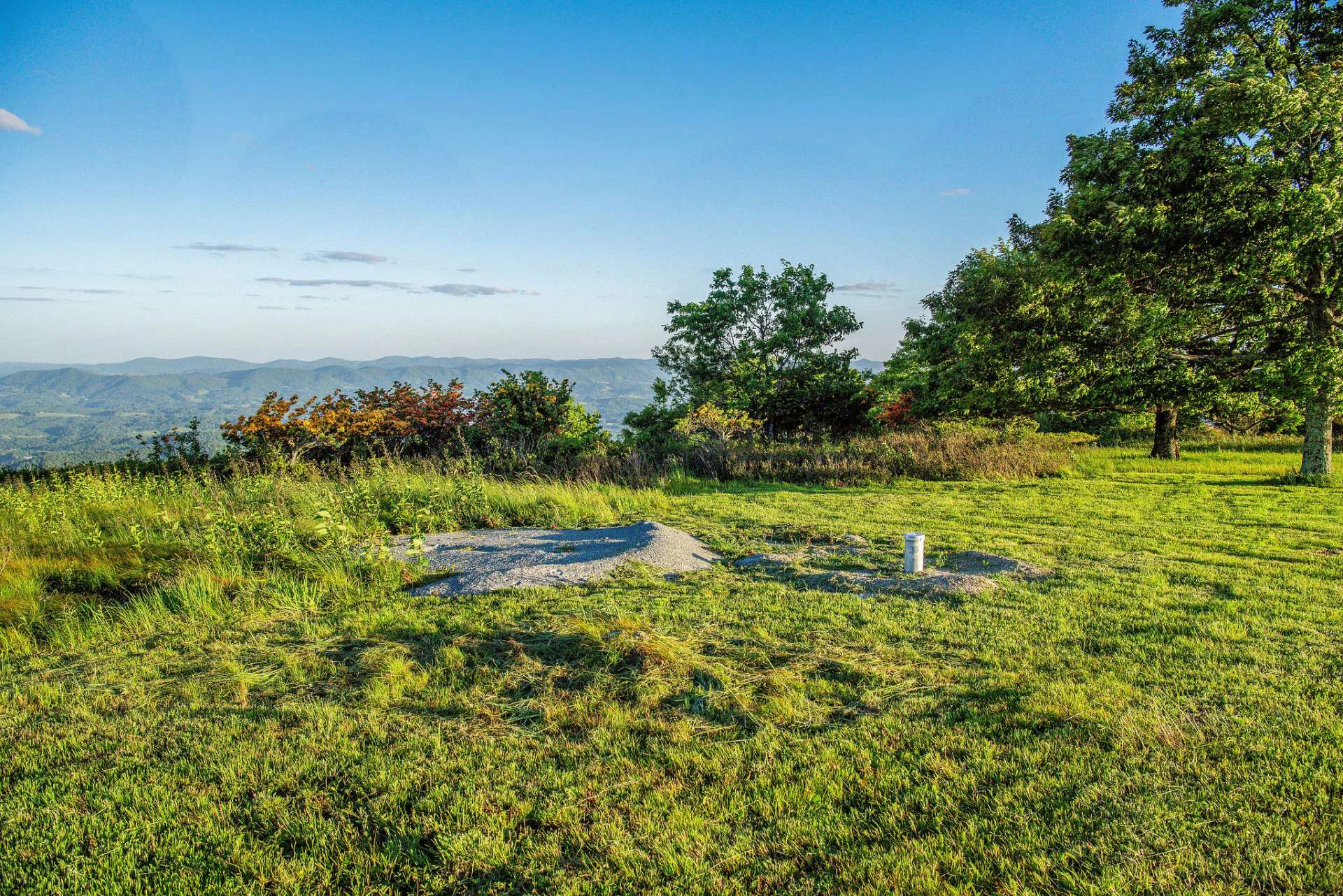 Image number 4 for the current listing