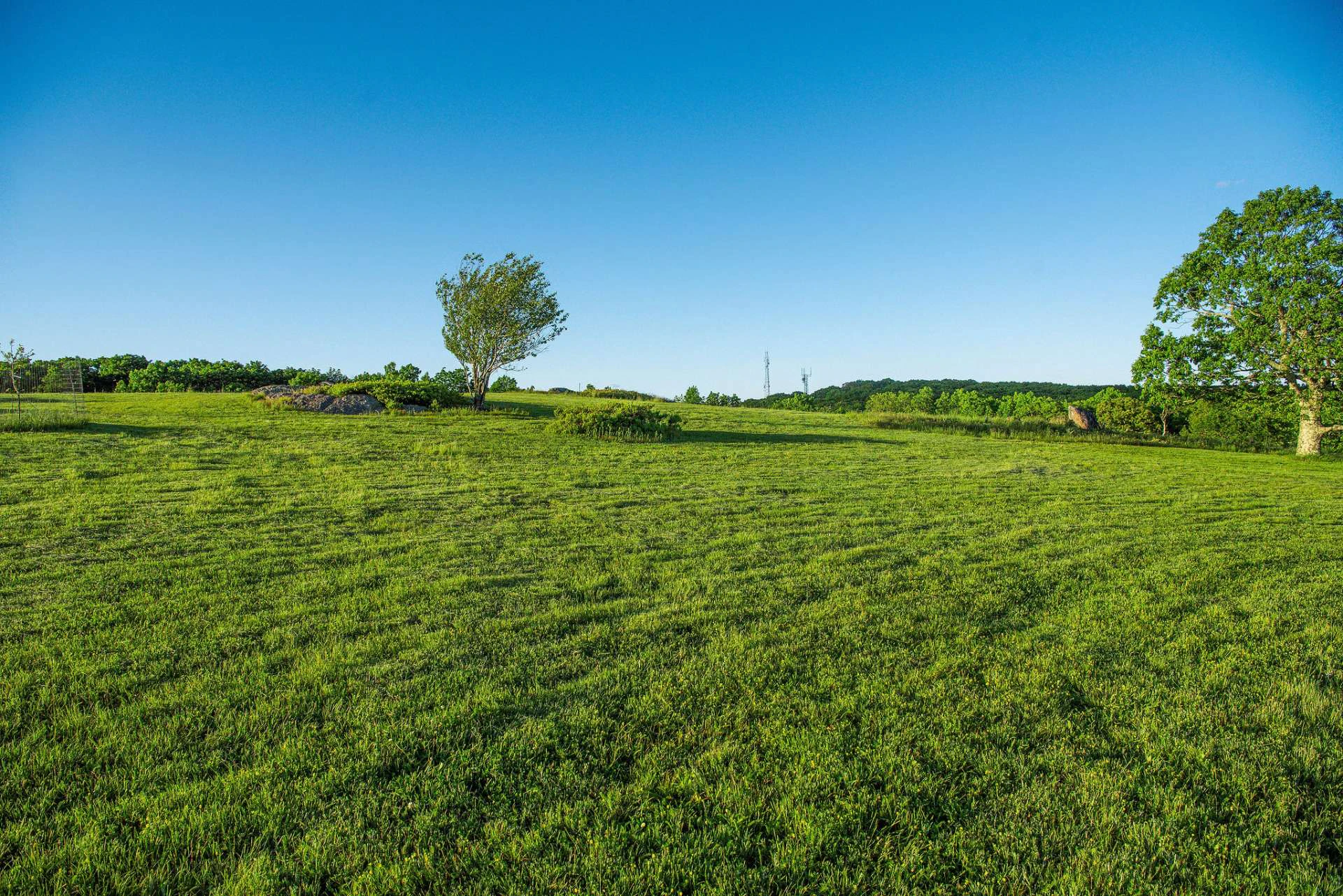 Image number 18 for the current listing