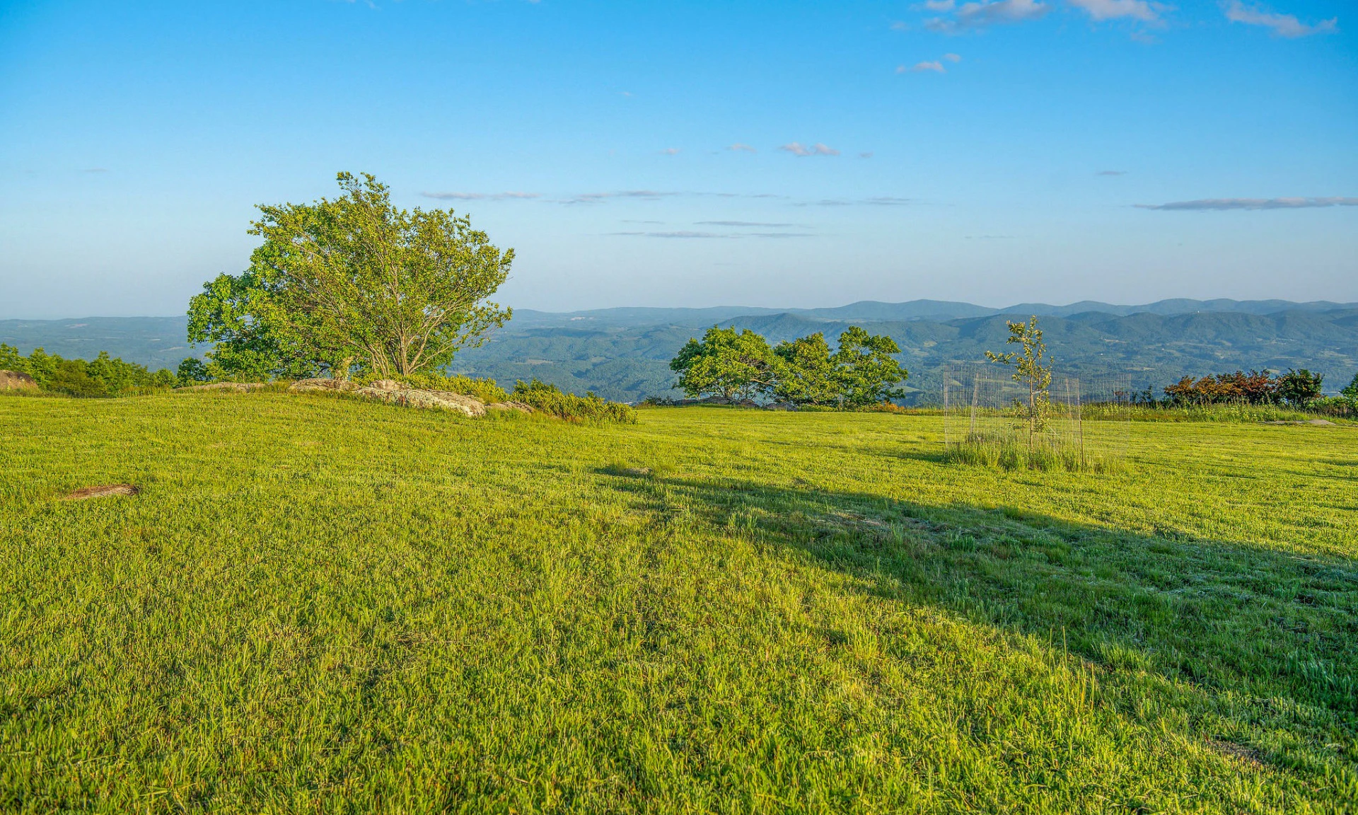Image number 1 for the current listing