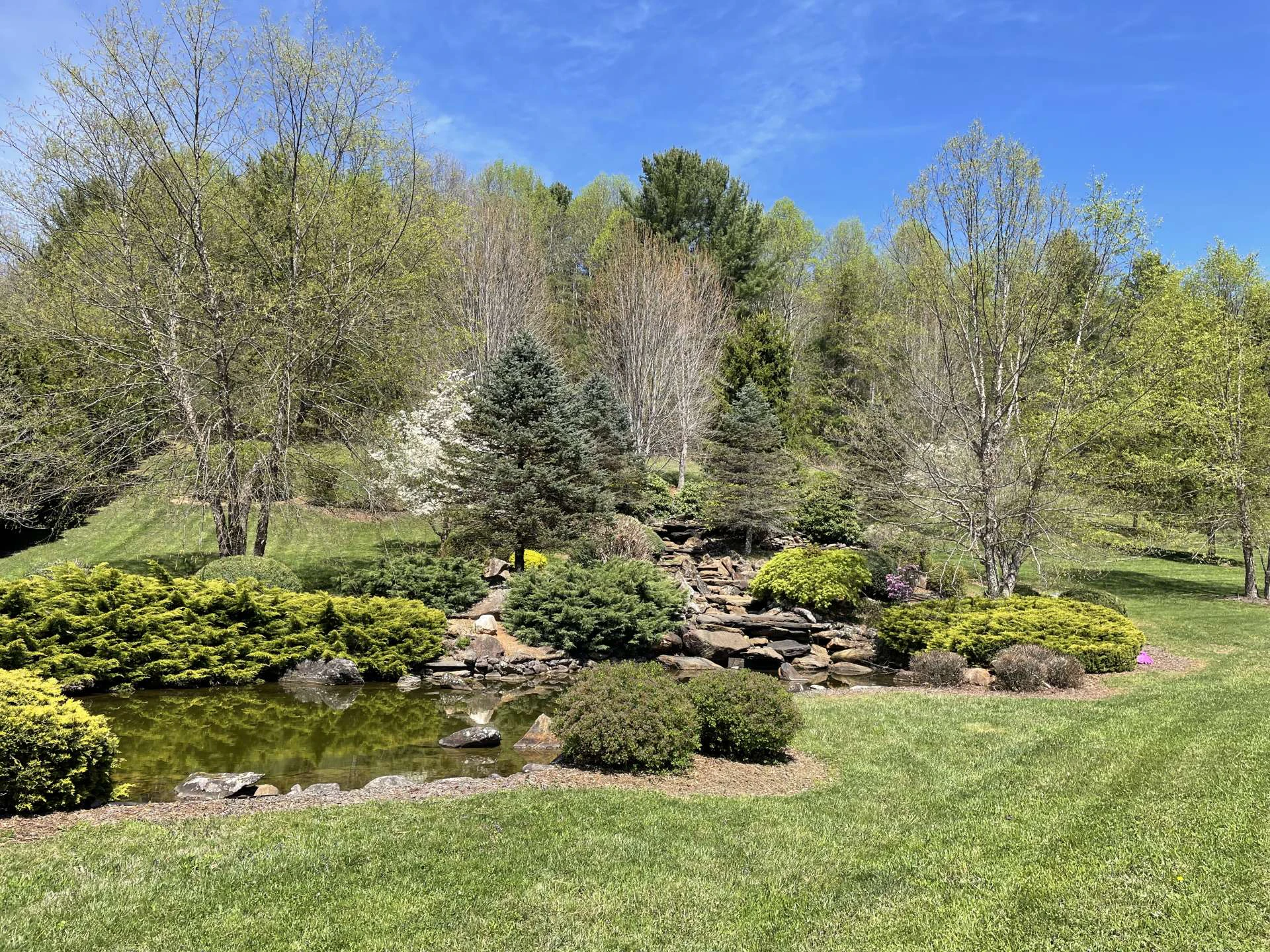 Image number 5 for the current listing