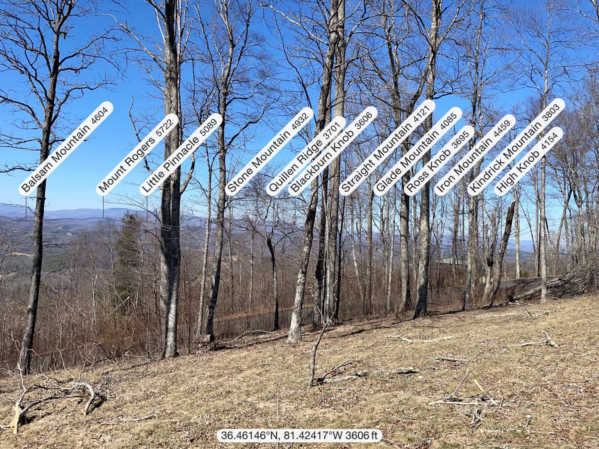 Image number 12 for the current listing