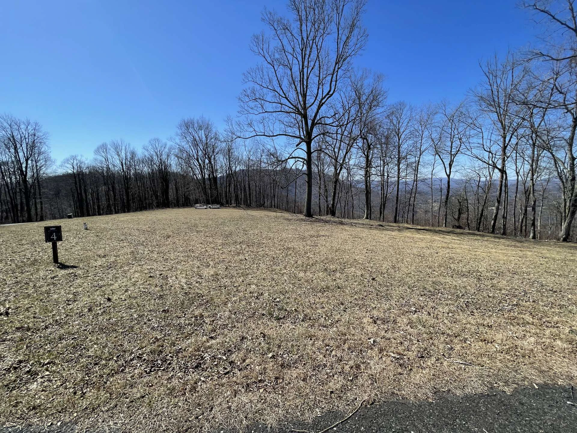 Image number 6 for the current listing