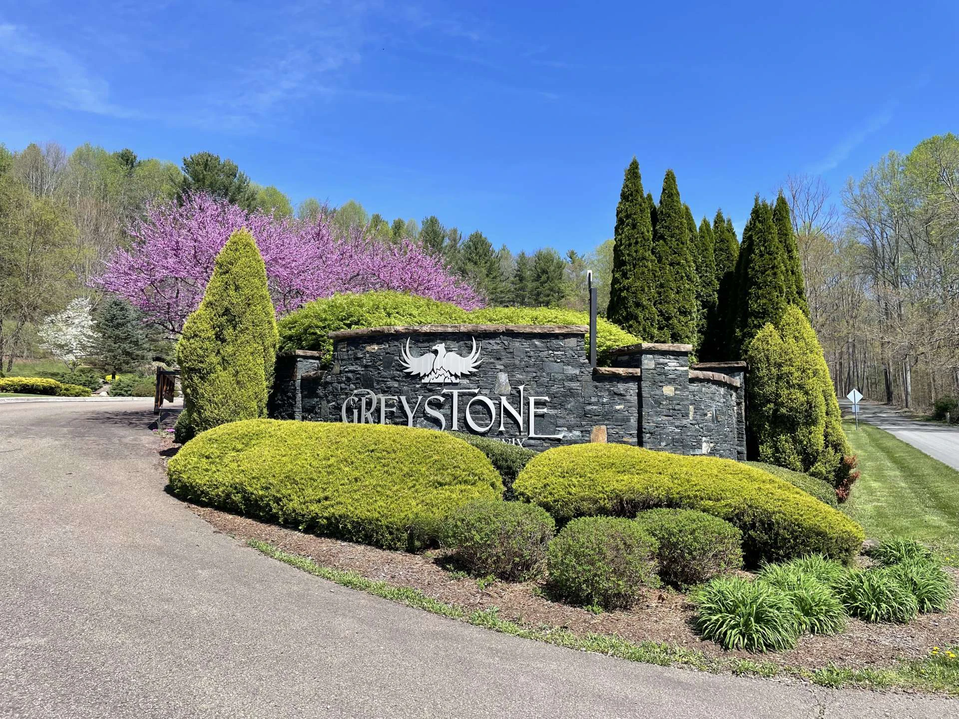 Image number 3 for the current listing