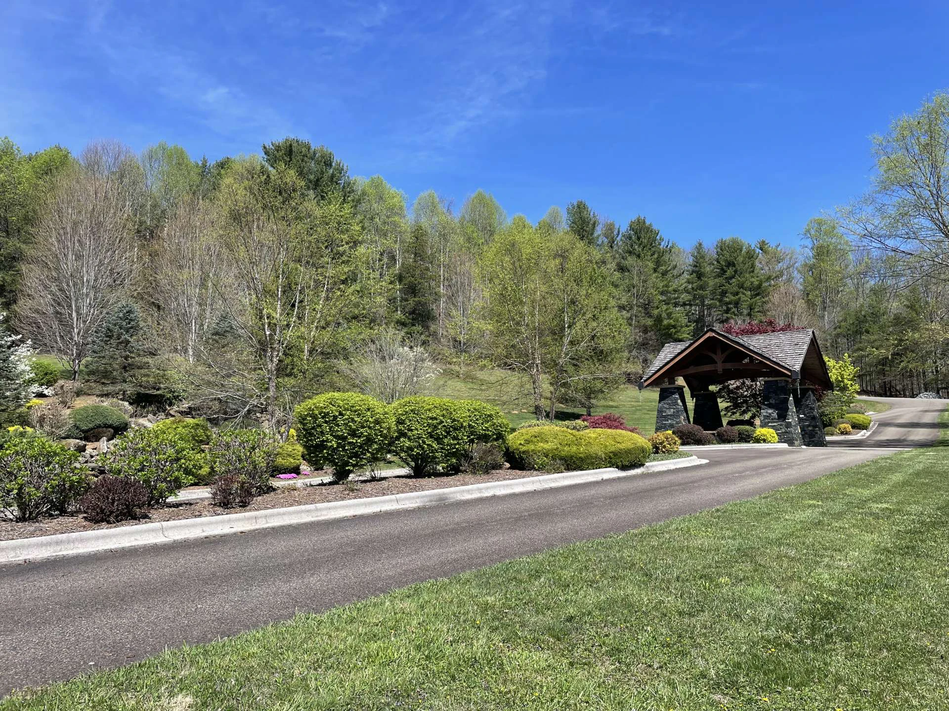 Image number 4 for the current listing