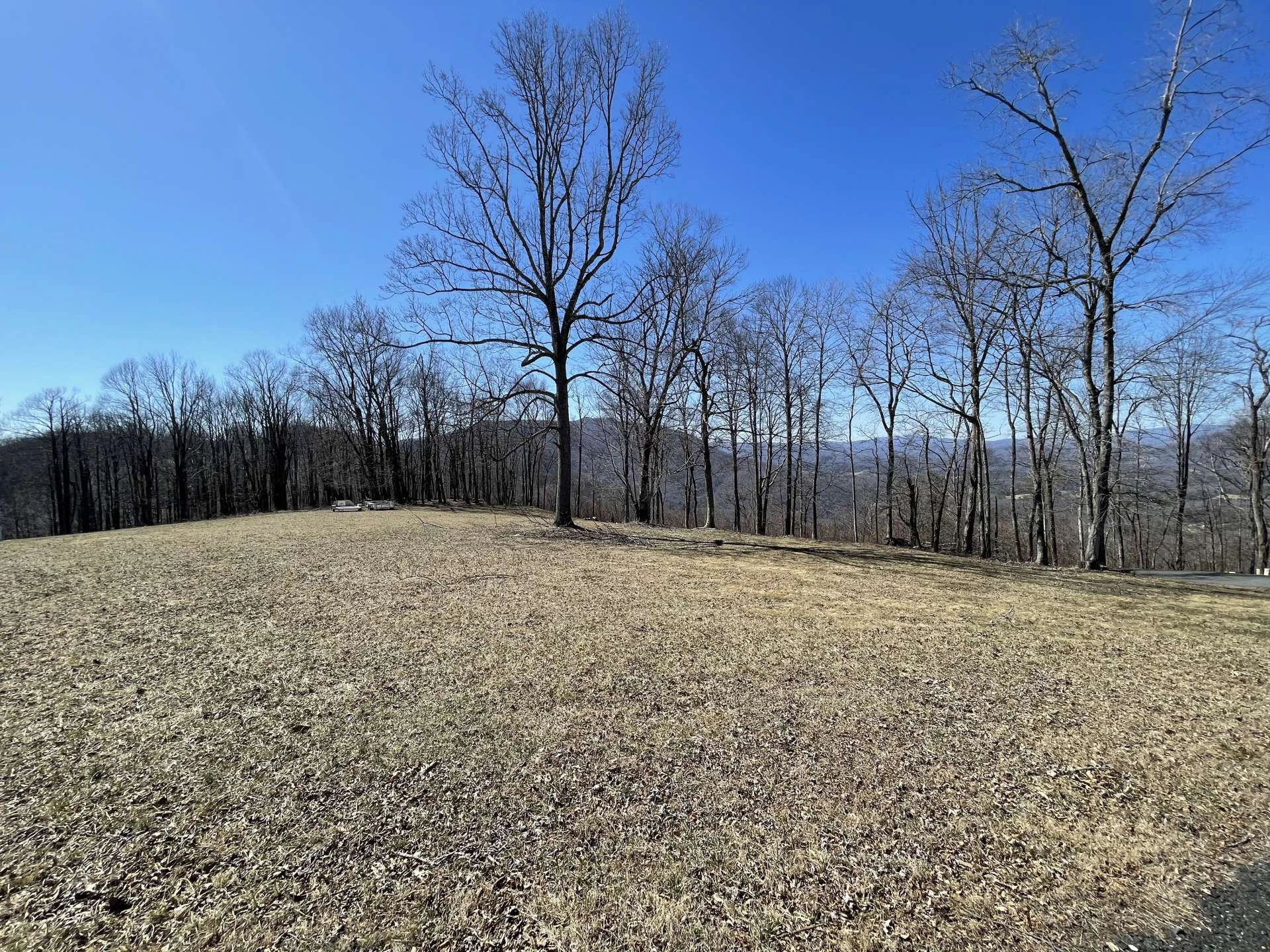 Image number 7 for the current listing