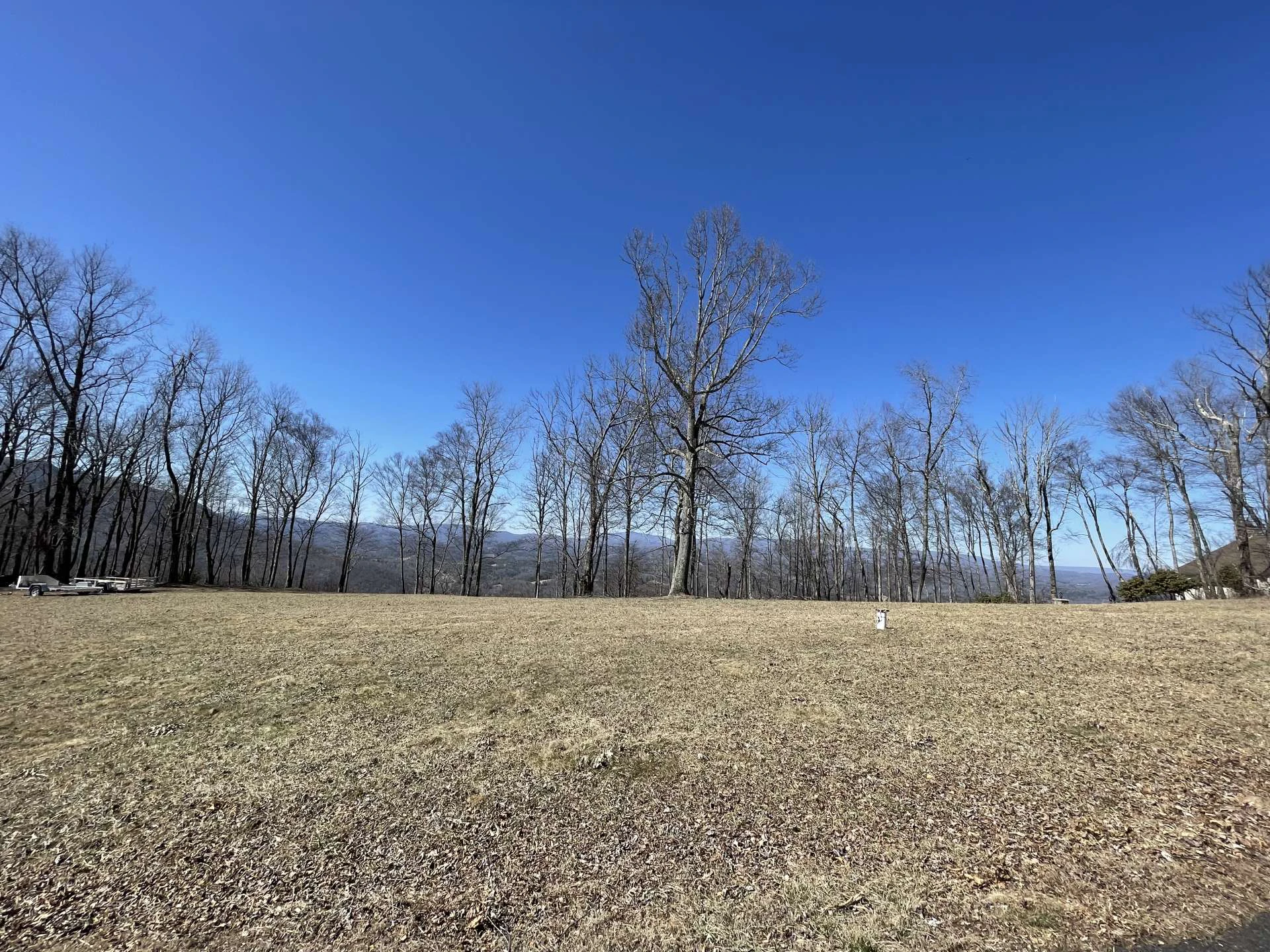 Image number 8 for the current listing