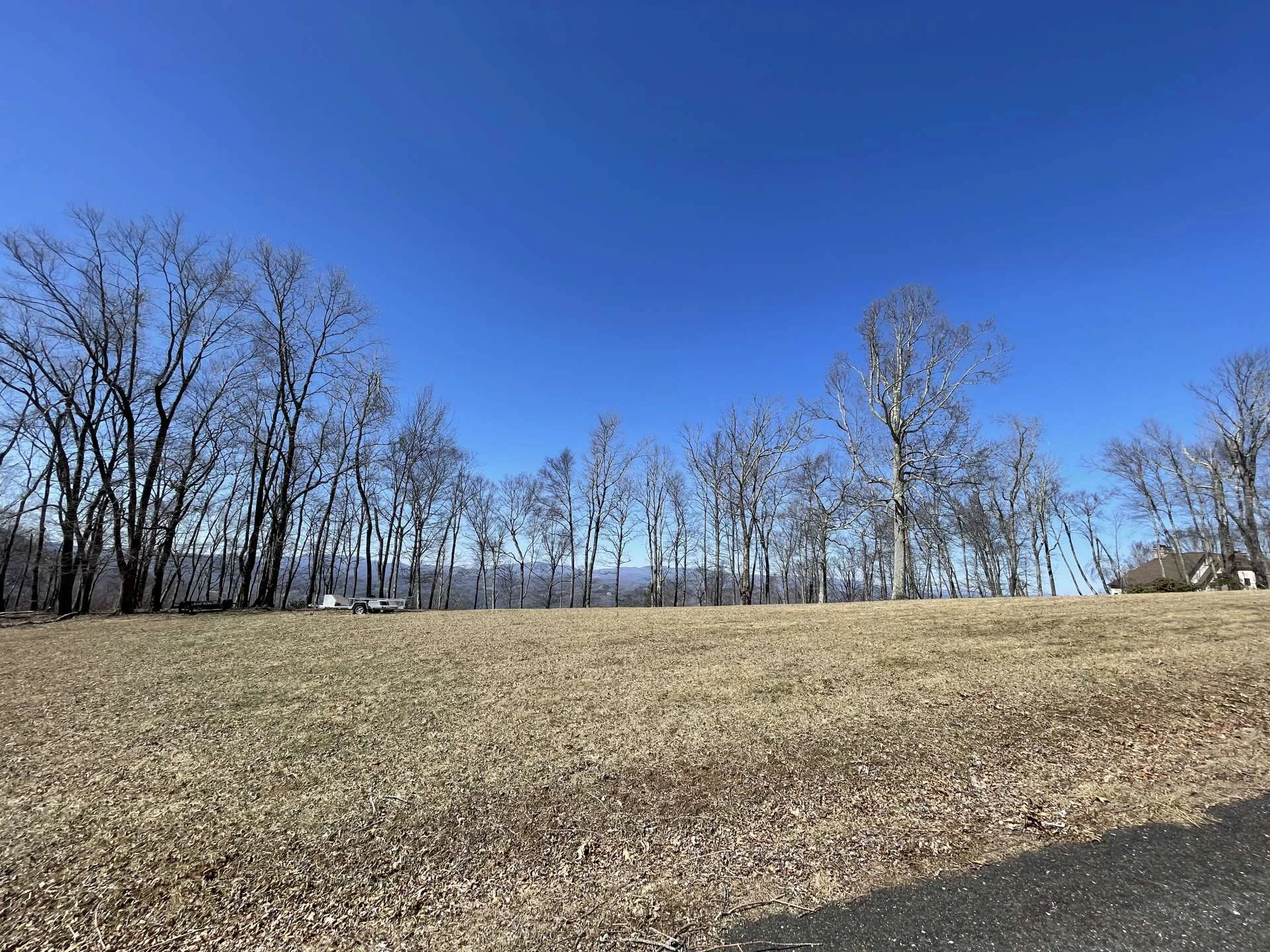 Image number 15 for the current listing