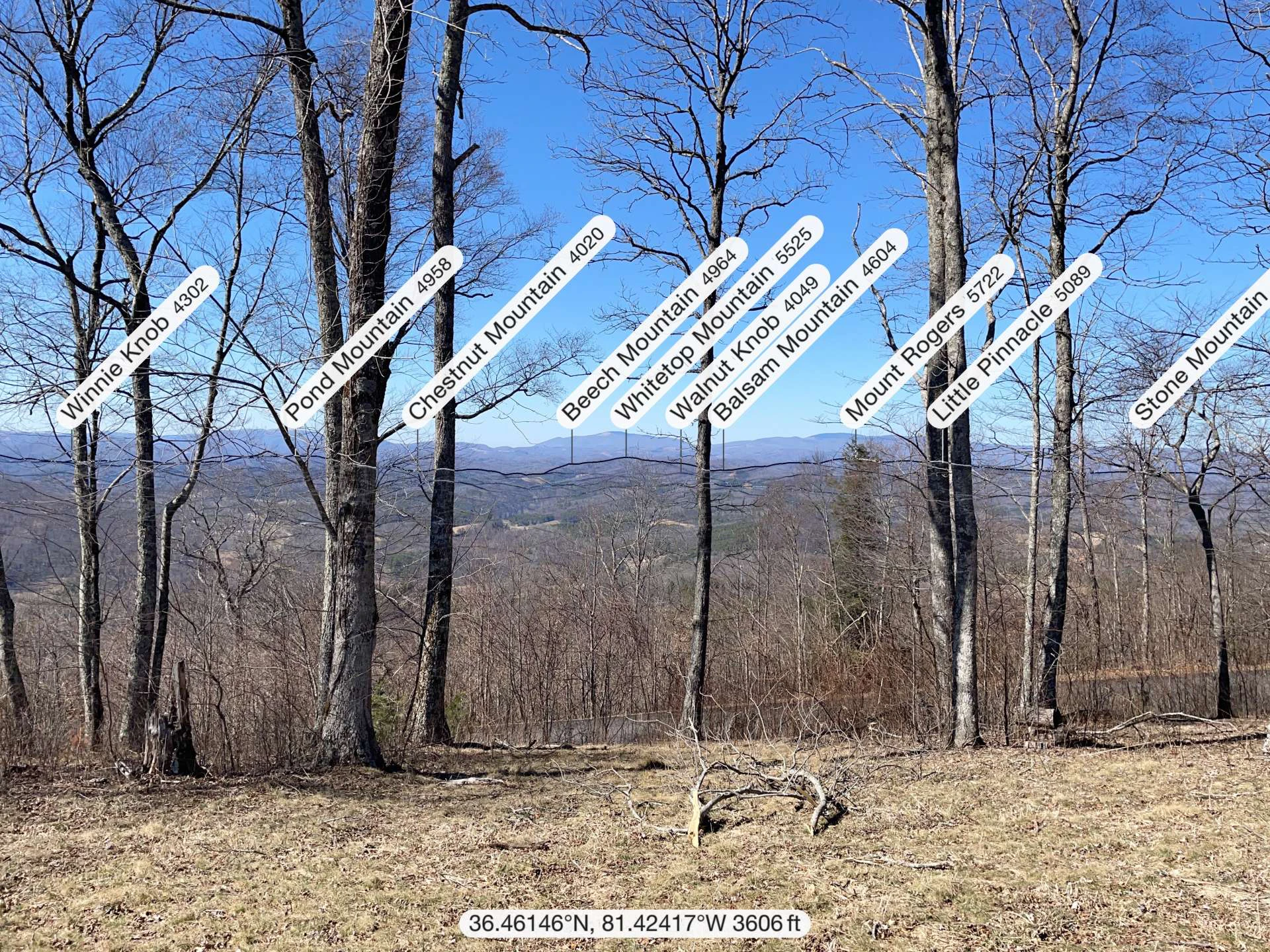 Image number 13 for the current listing