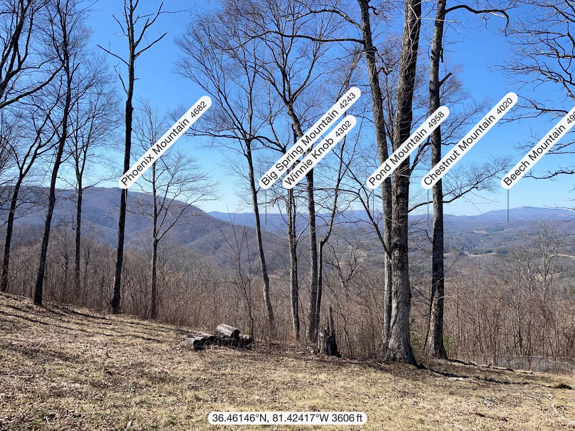 Image number 14 for the current listing