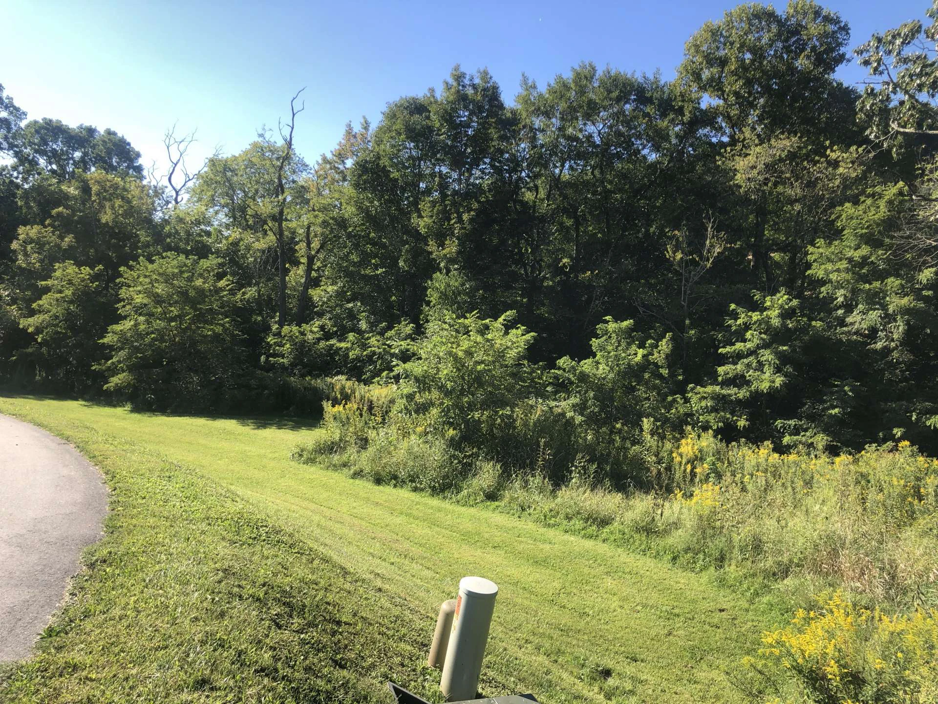 Image number 2 for the current listing