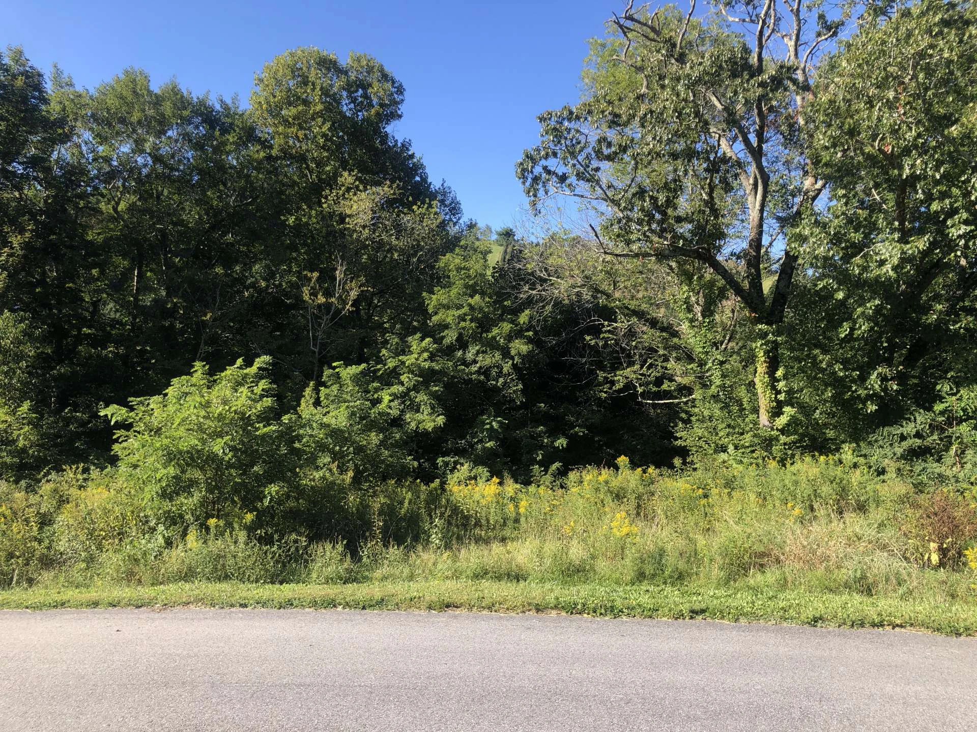 Image number 3 for the current listing