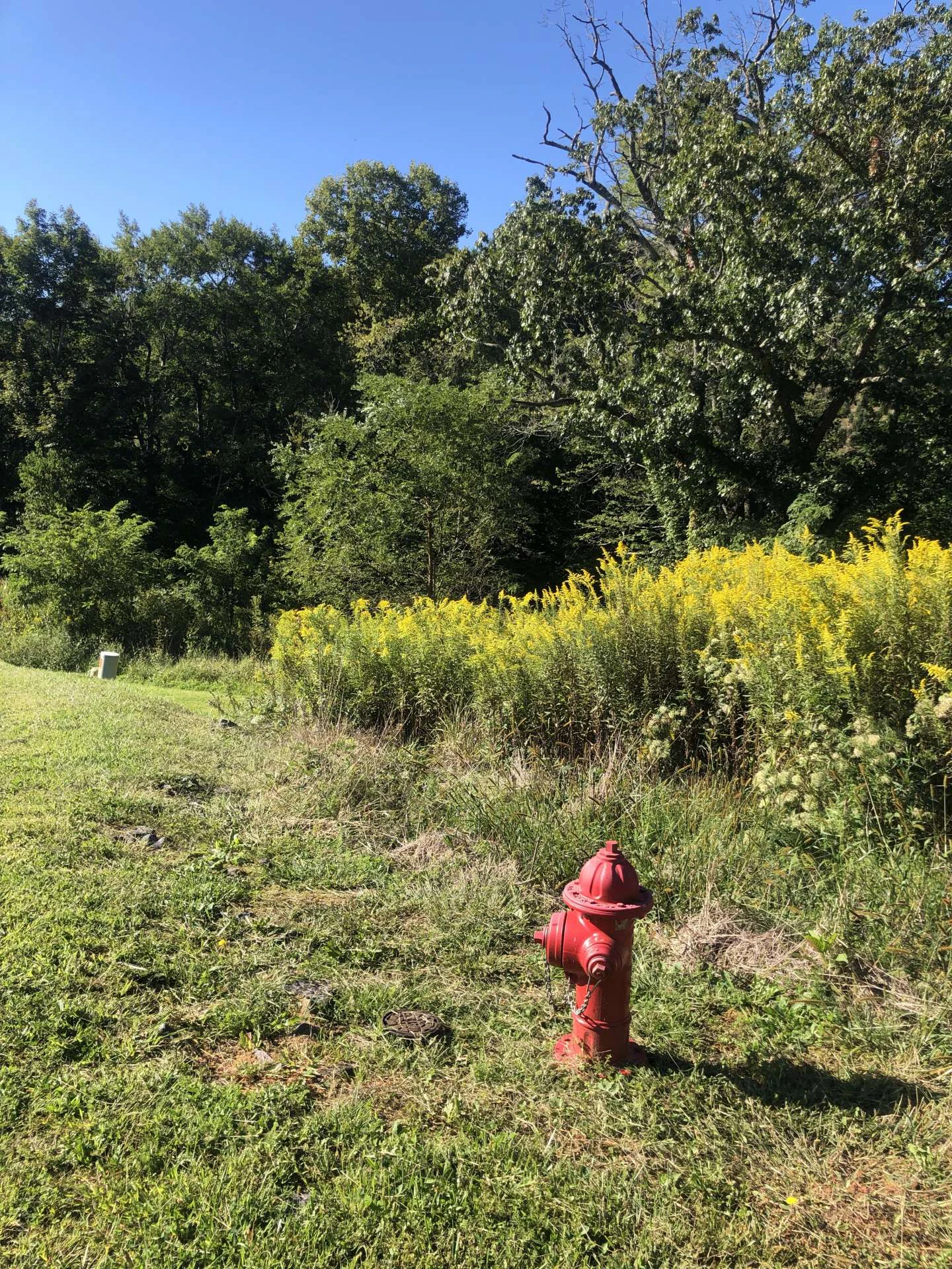 Image number 9 for the current listing