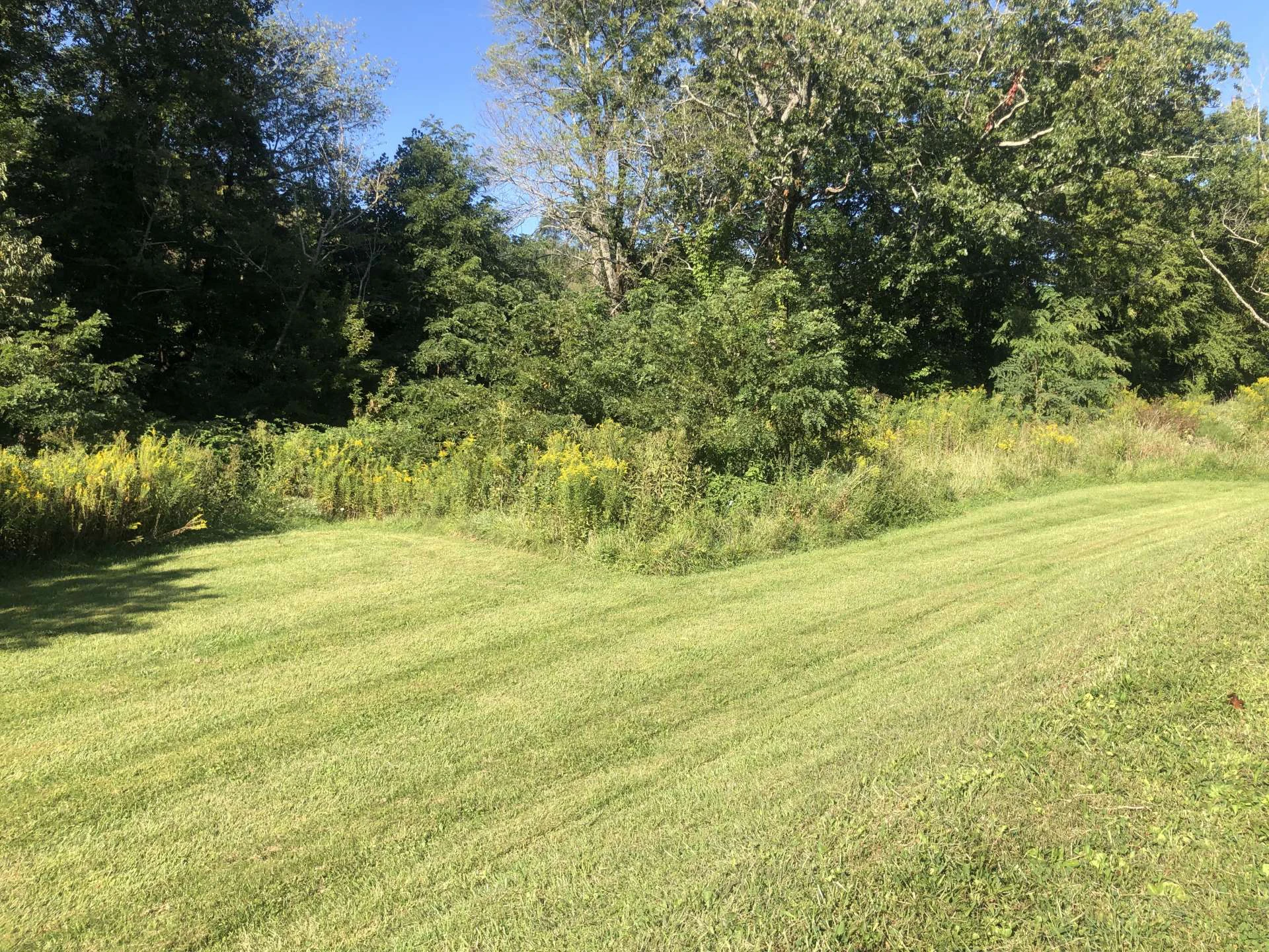 Image number 5 for the current listing