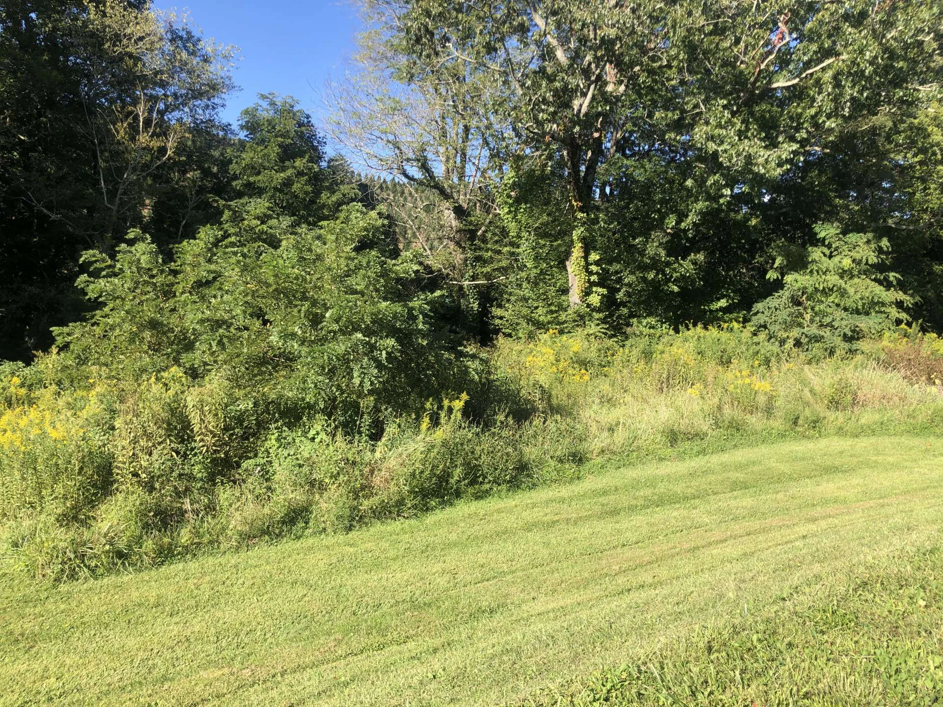 Image number 6 for the current listing