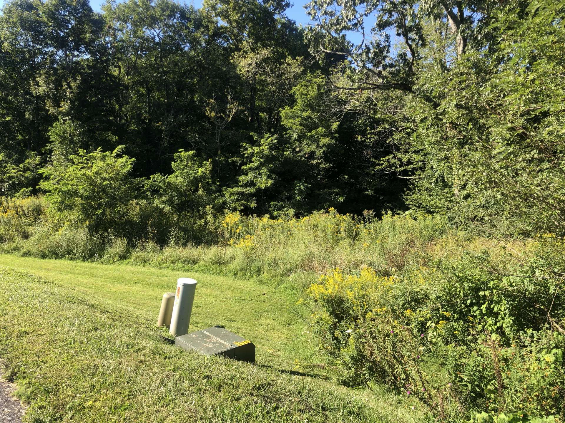 Image number 7 for the current listing