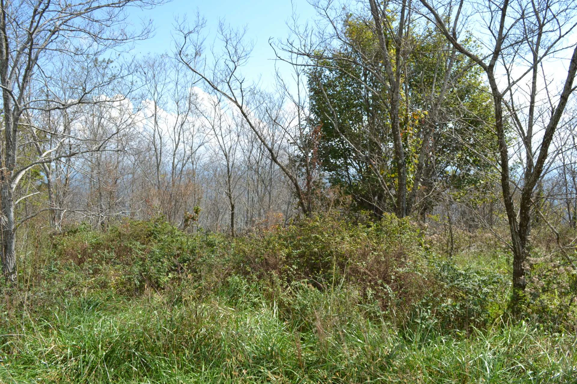 Image number 6 for the current listing