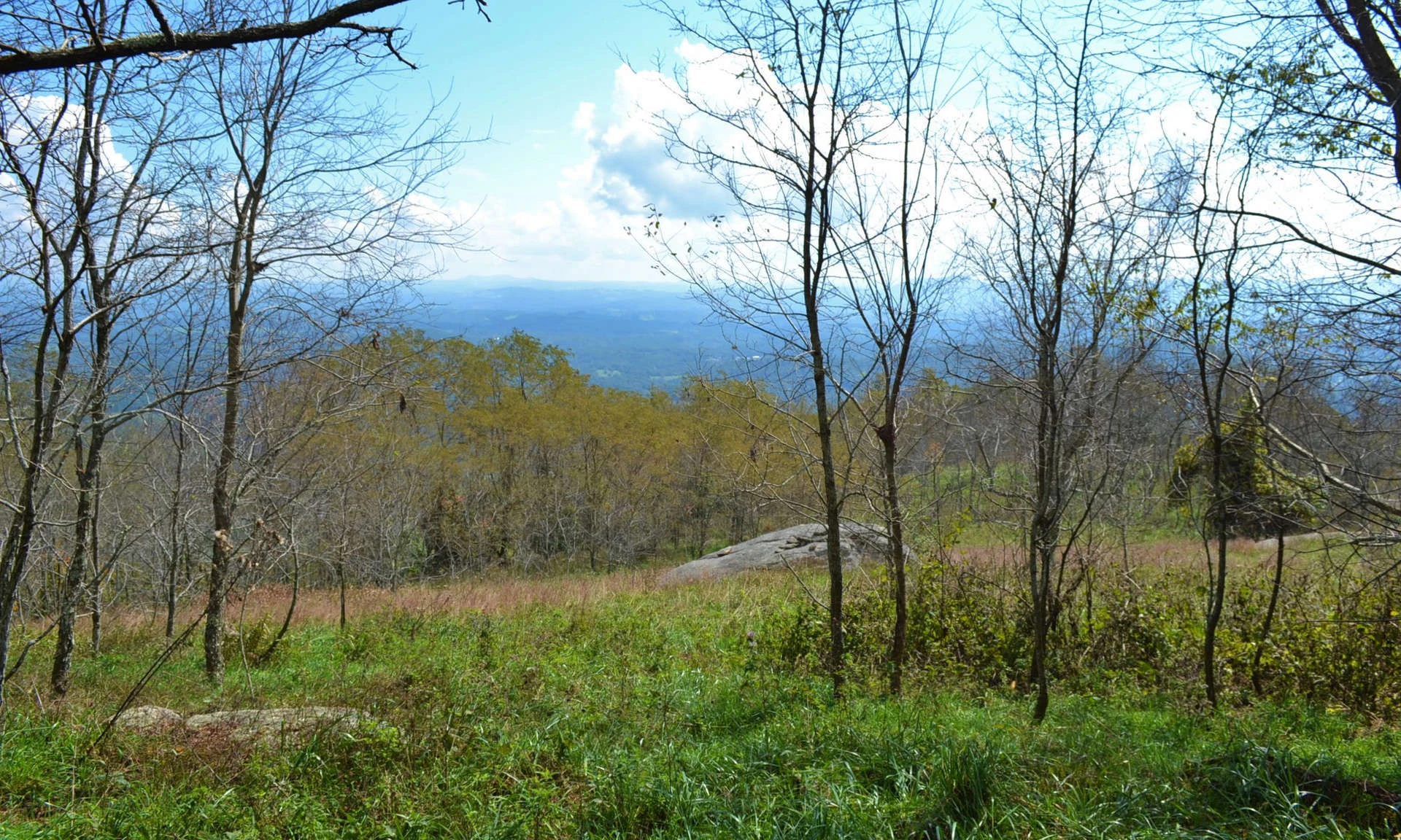 Image number 1 for the current listing
