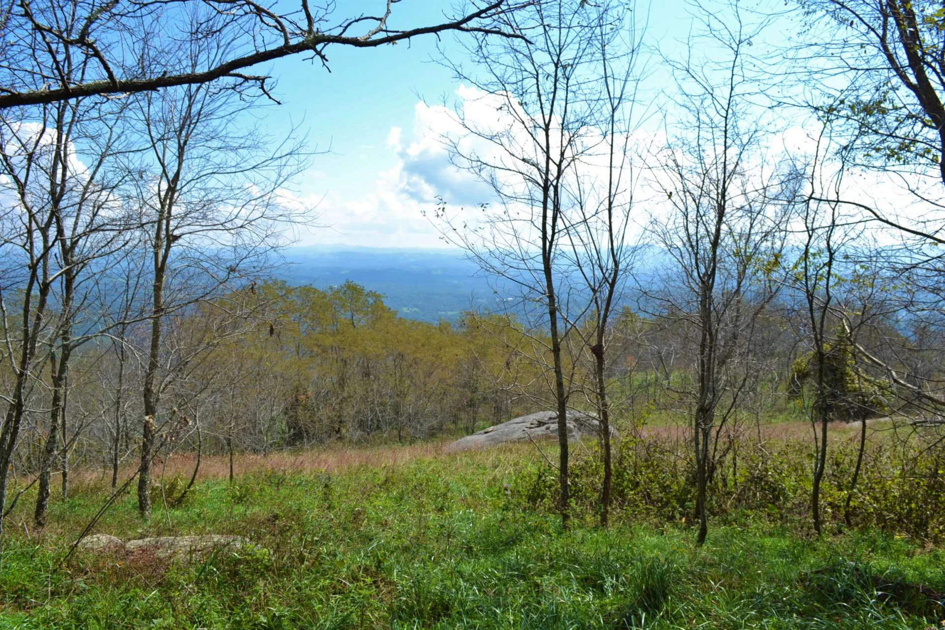 Image number 11 for the current listing