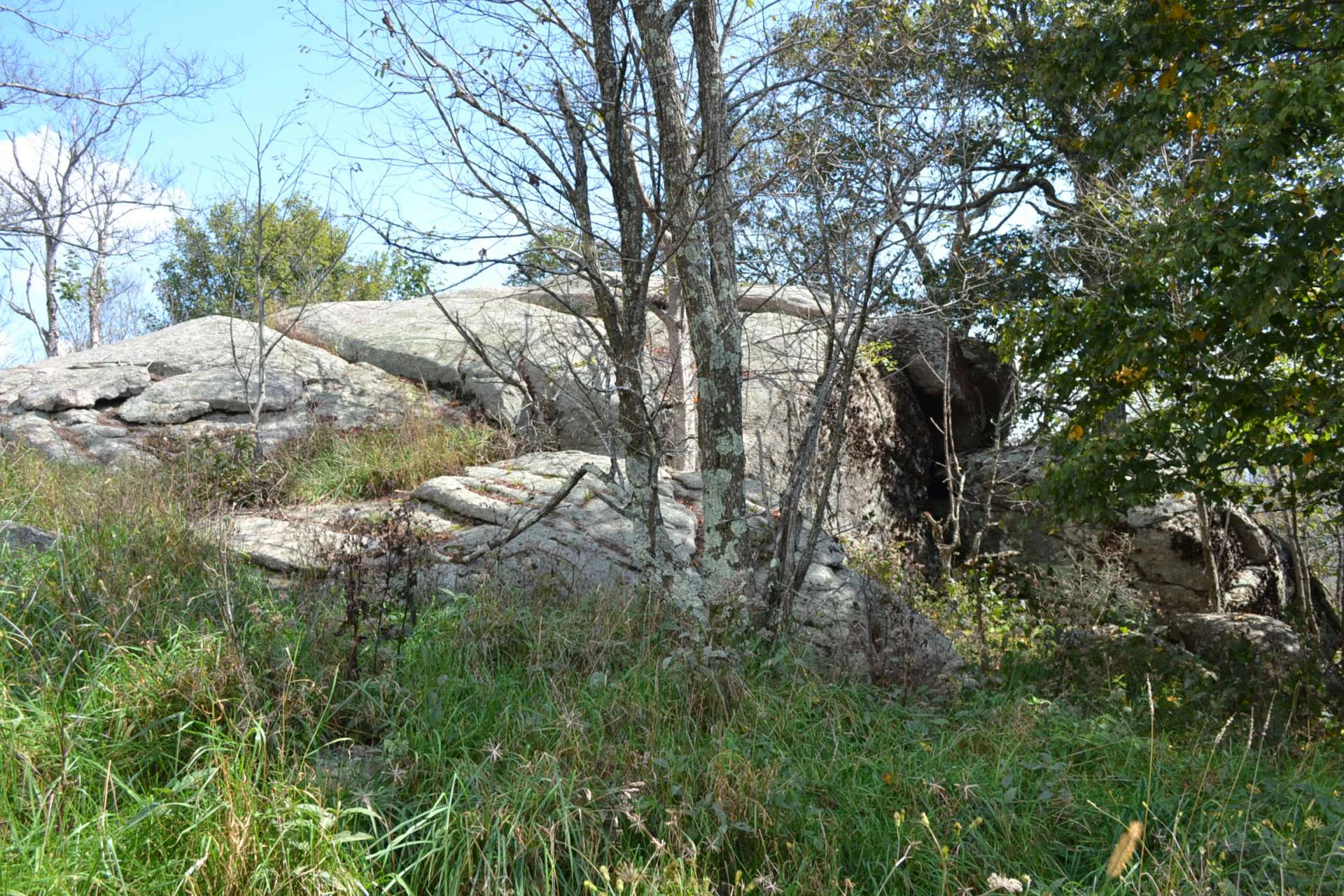 Image number 3 for the current listing
