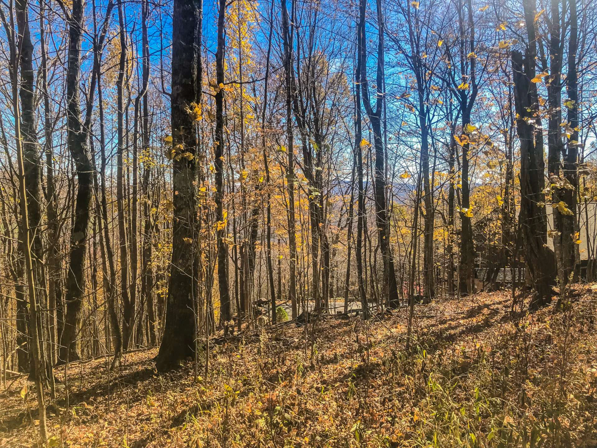 Image number 21 for the current listing