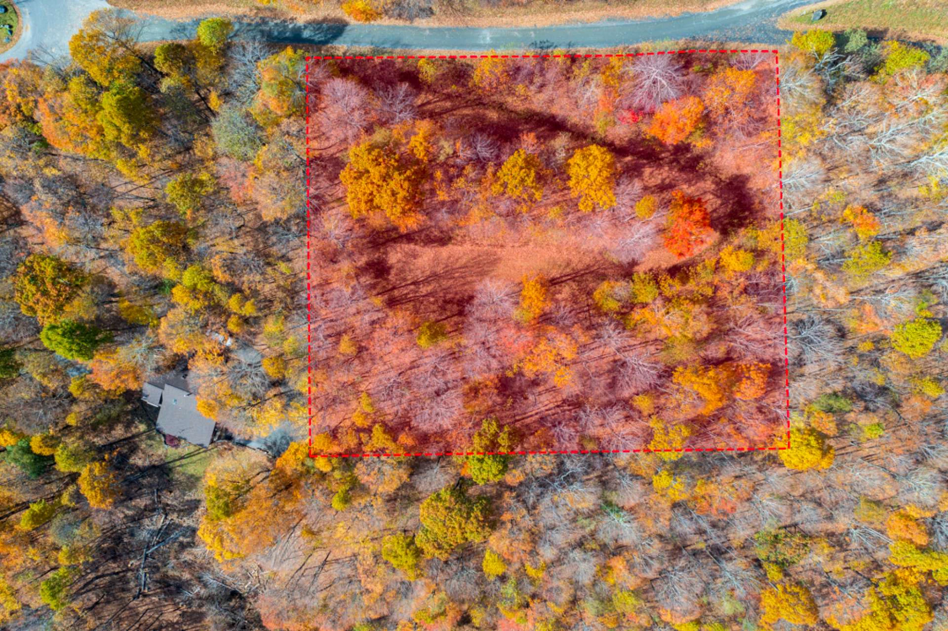 Image number 3 for the current listing