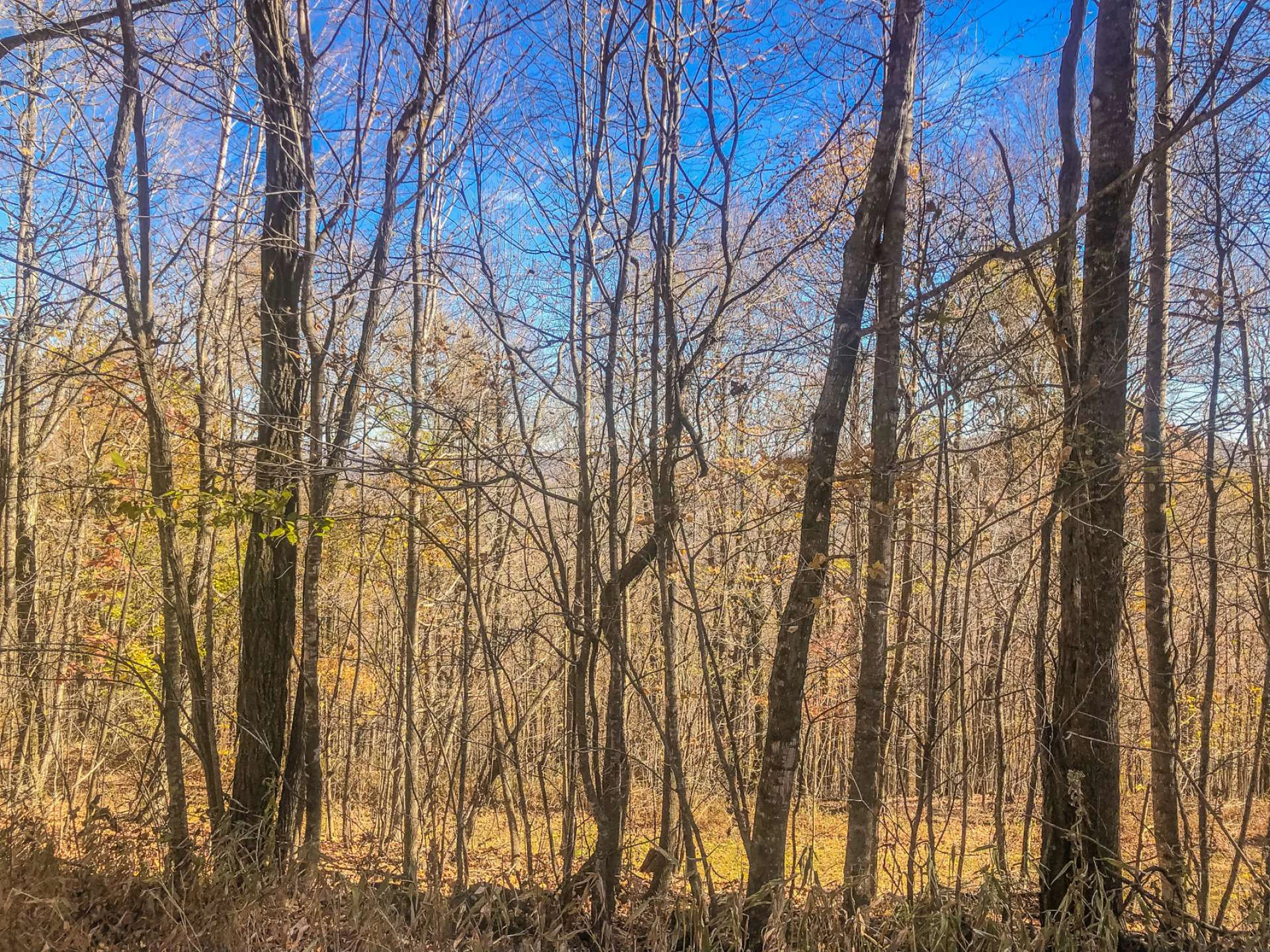 Image number 18 for the current listing
