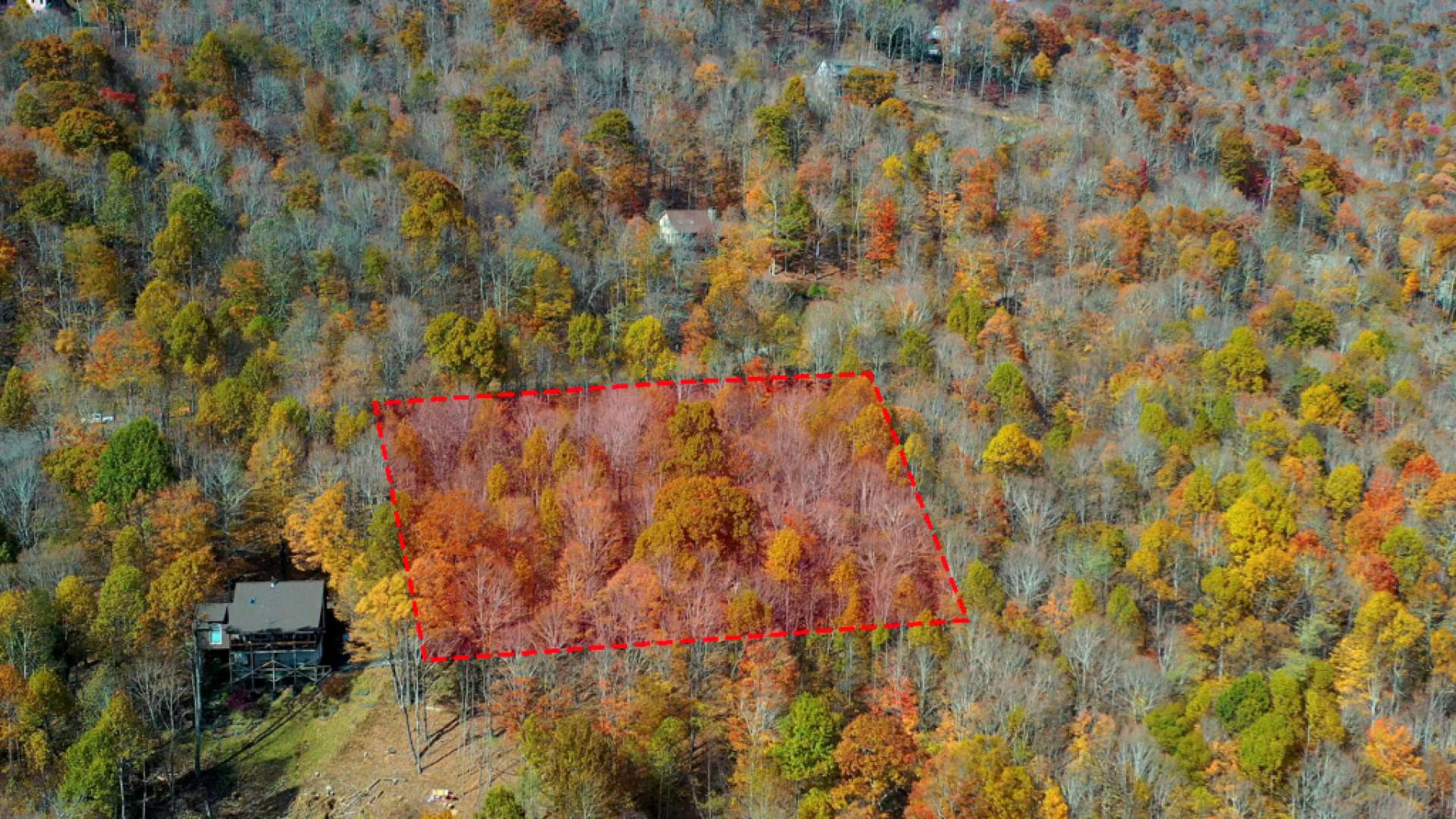 Image number 5 for the current listing