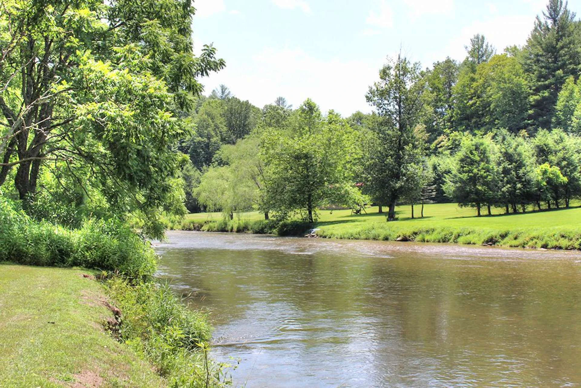 Image number 3 for the current listing