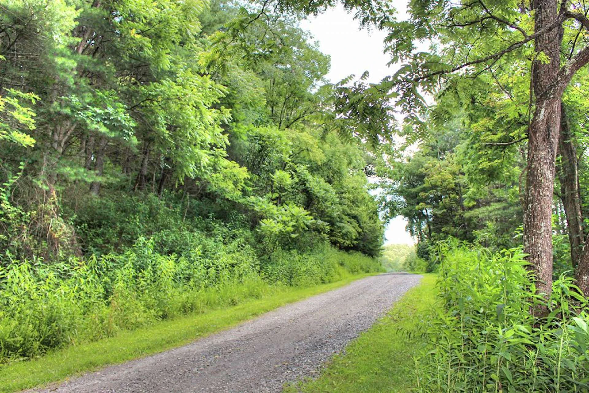 Image number 4 for the current listing