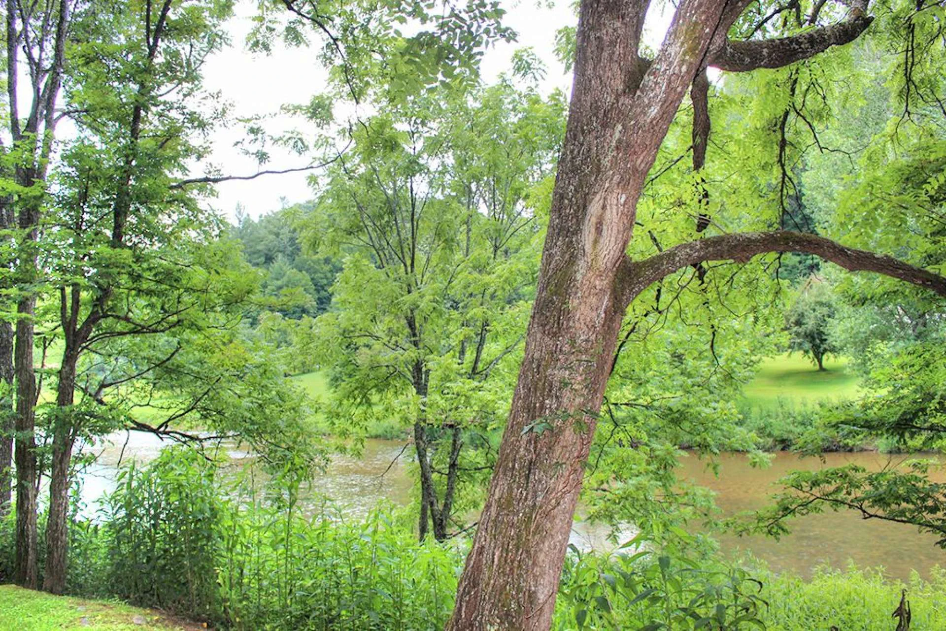 Image number 7 for the current listing