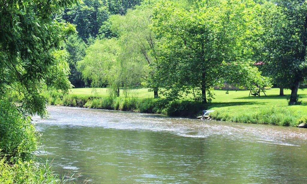 Image number 1 for the current listing