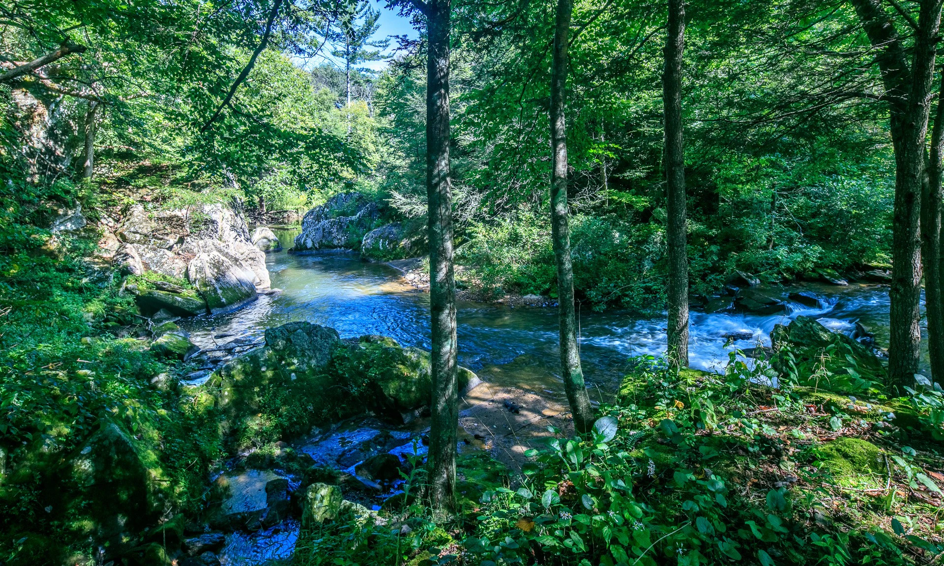 Image number 1 for the current listing
