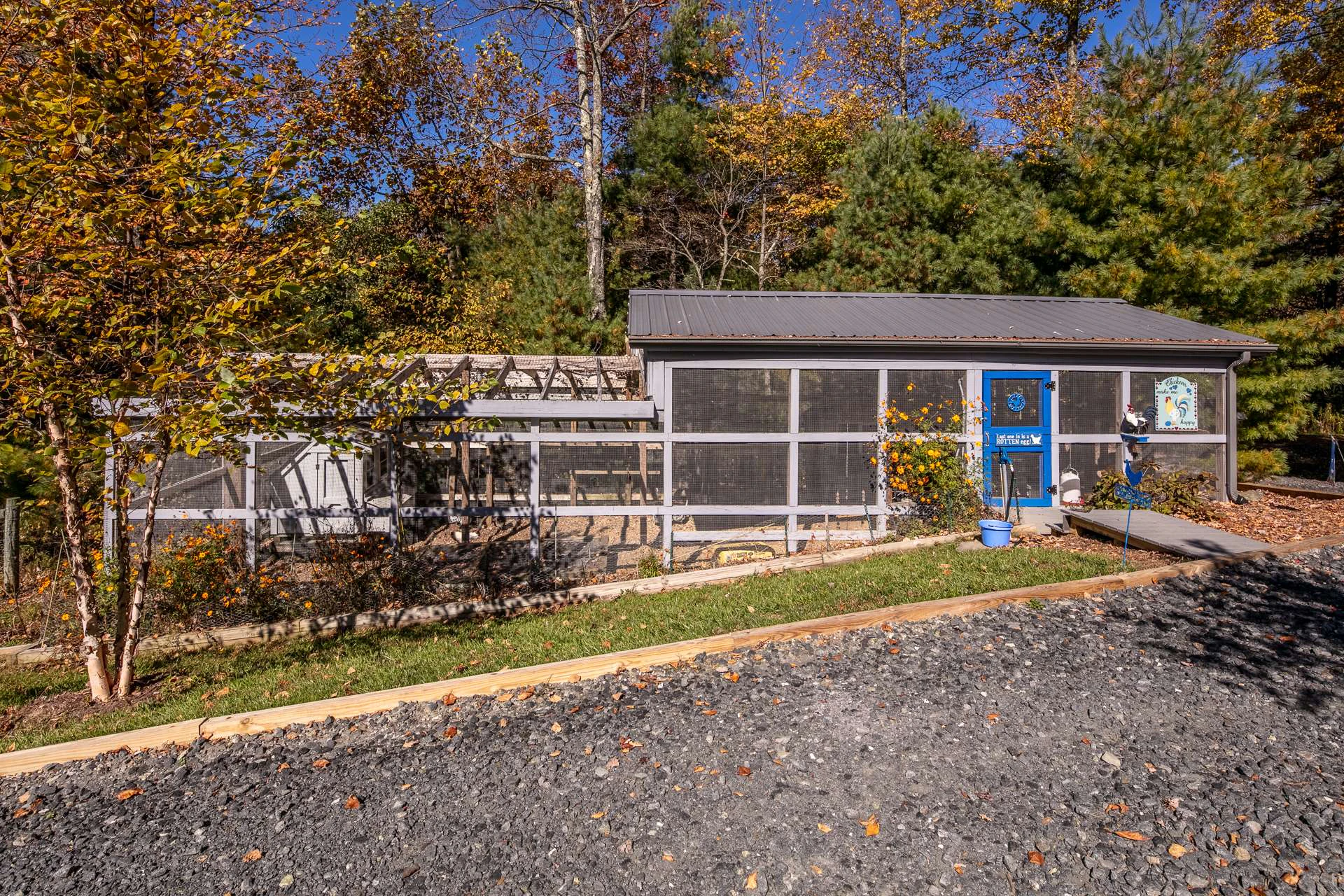 Image number 11 for the current listing