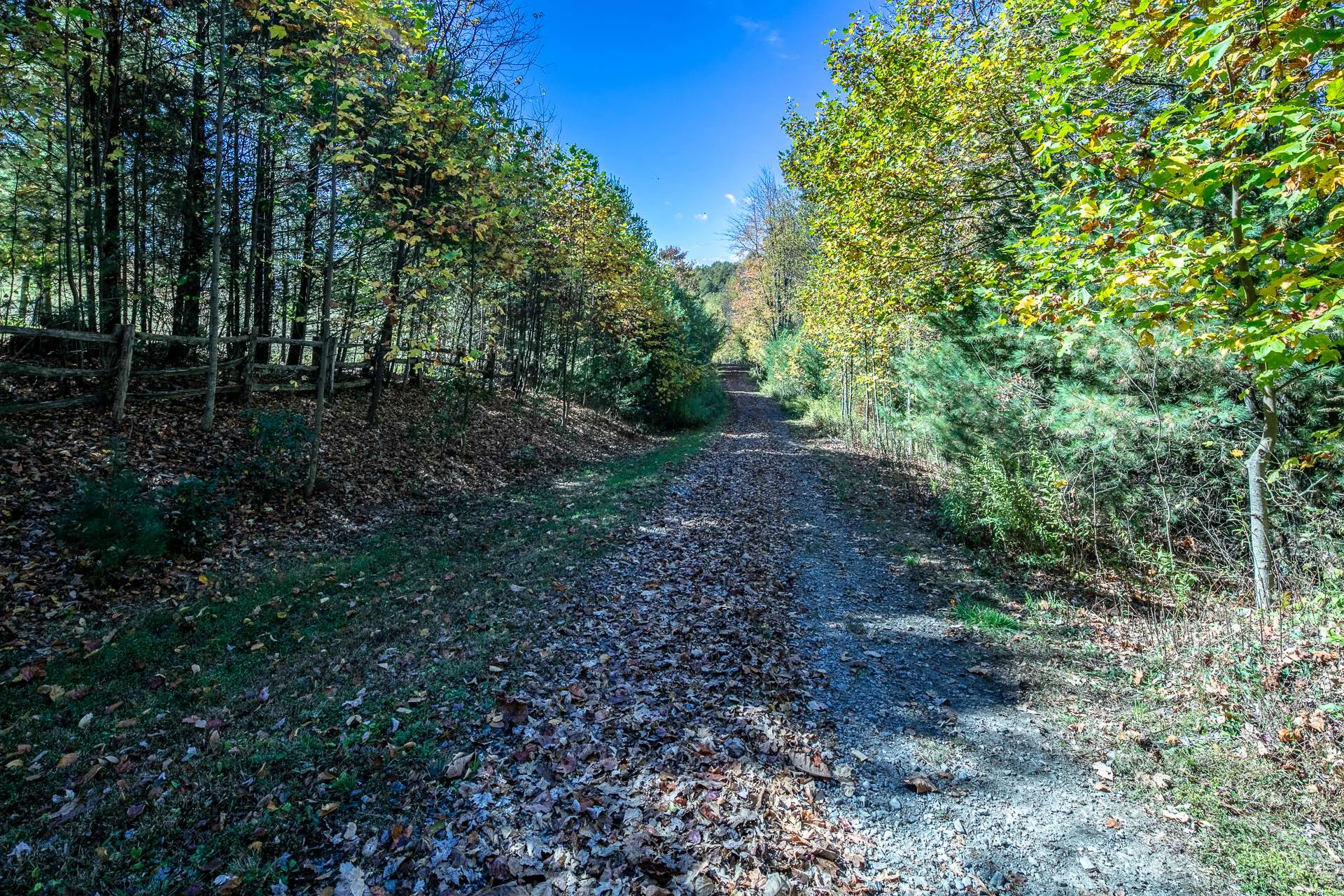 Image number 19 for the current listing