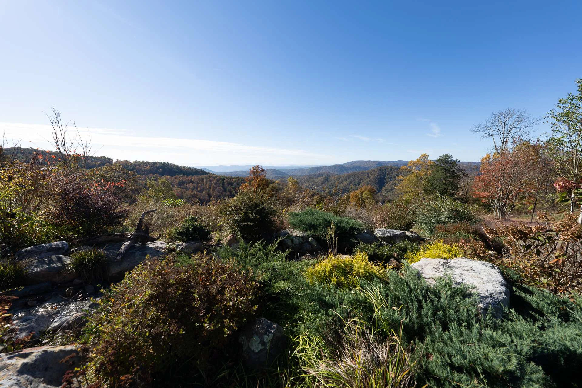 Image number 5 for the current listing