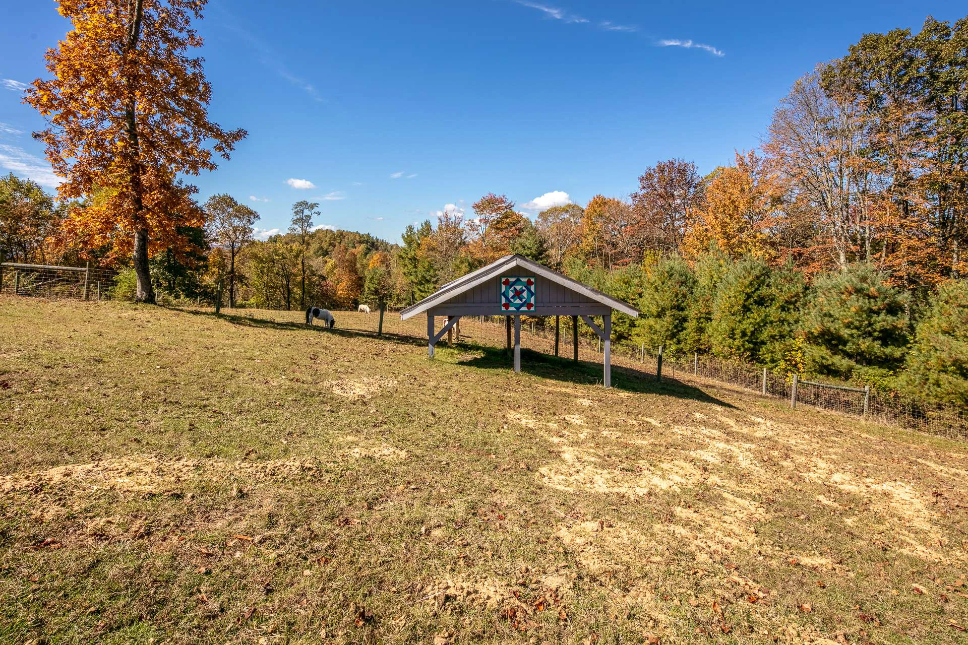 Image number 2 for the current listing