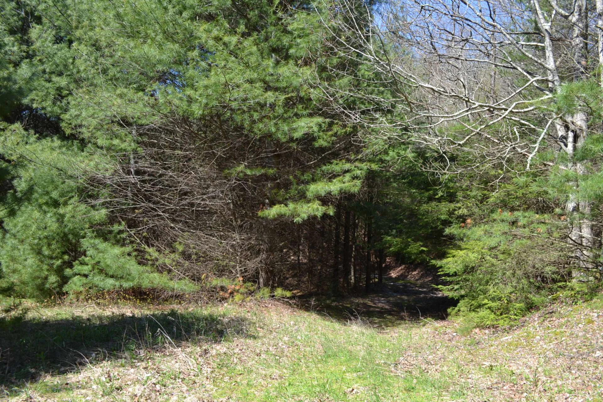 Image number 20 for the current listing
