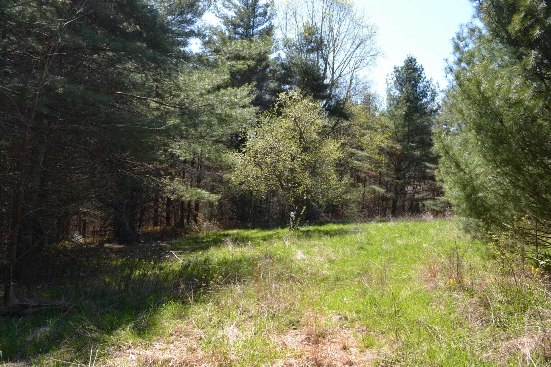 Image number 19 for the current listing