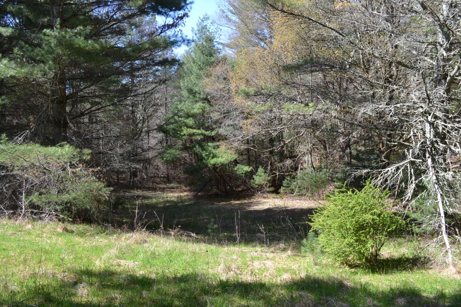 Image number 10 for the current listing