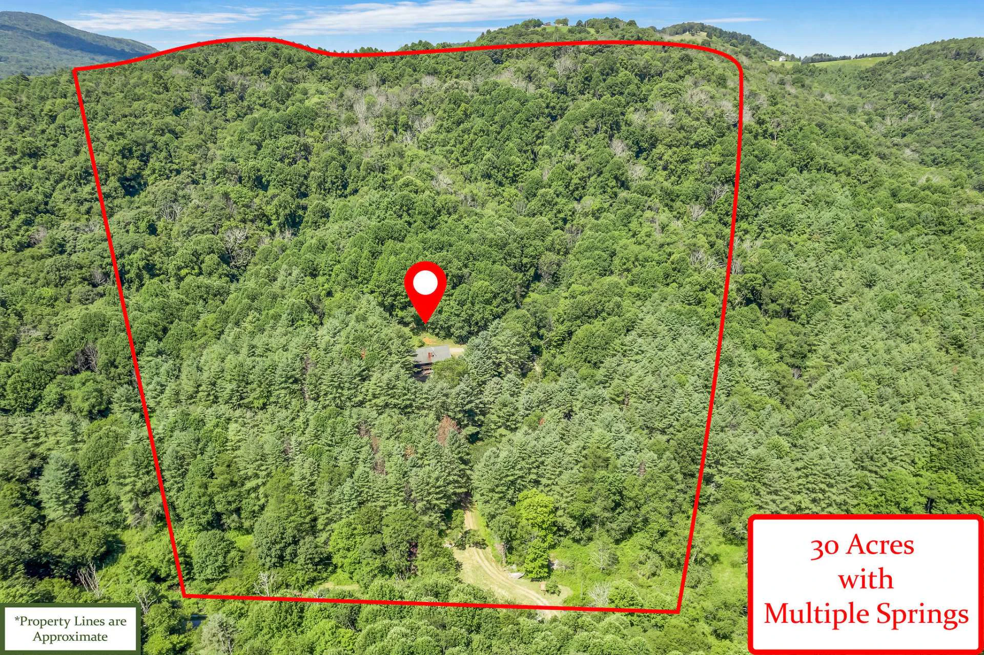 Image number 11 for the current listing